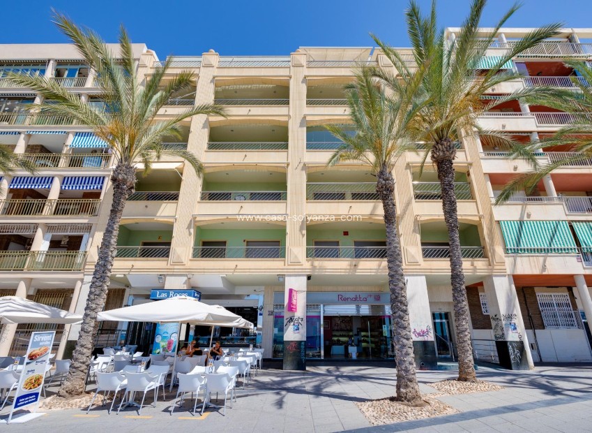 Resale - Apartment / flat - Torrevieja - Paseo Maritimo