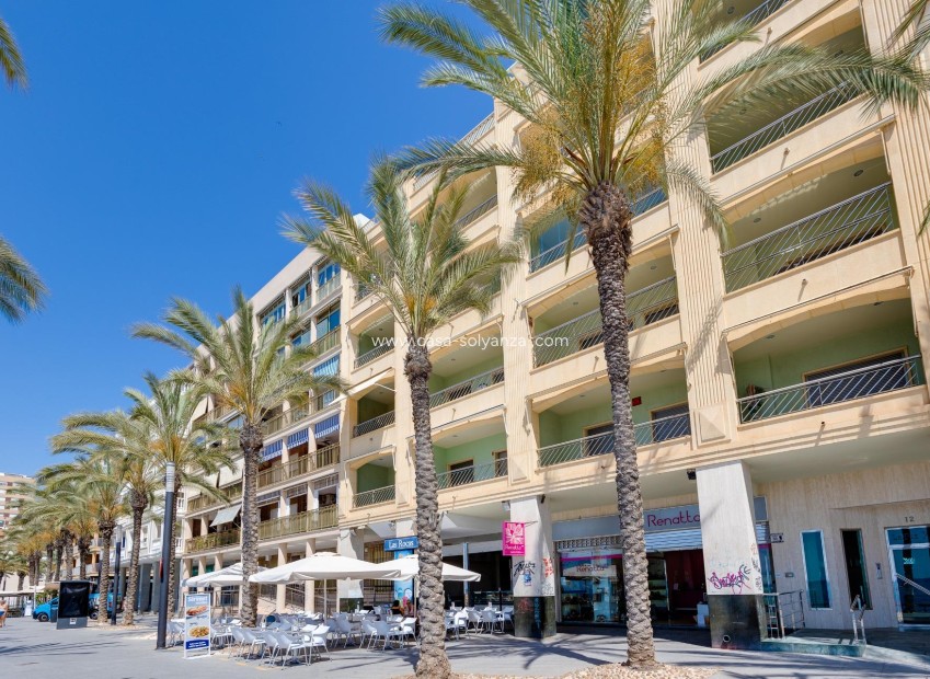 Resale - Apartment / flat - Torrevieja - Paseo Maritimo