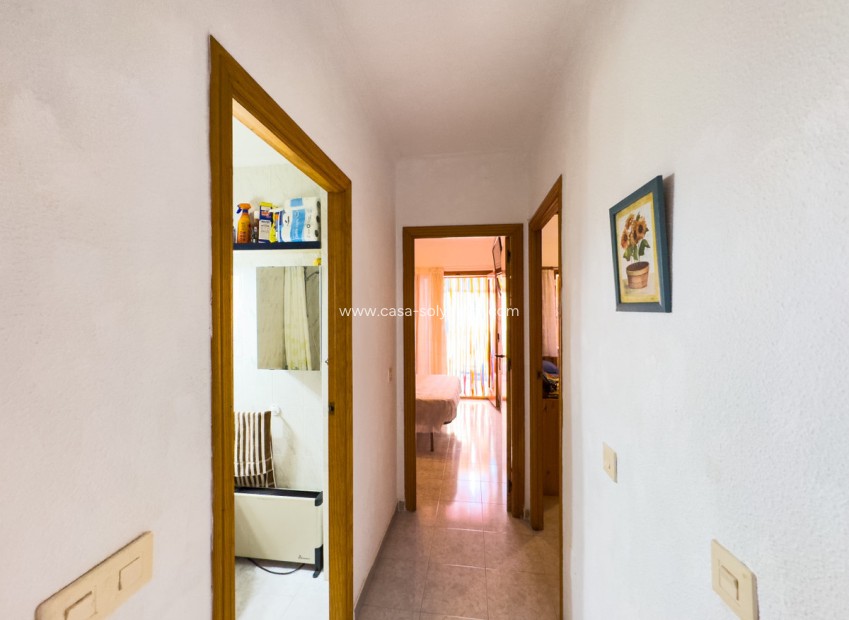 Resale - Apartment / flat - Torrevieja - Playa de los Locos
