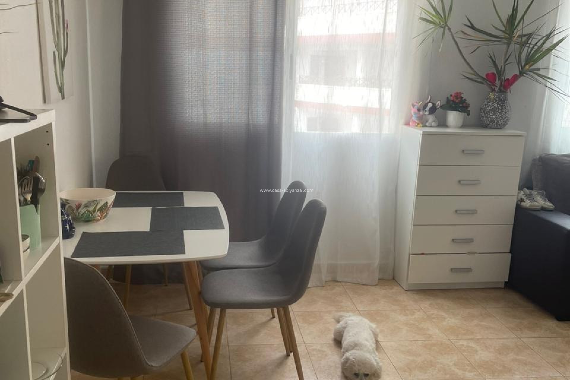 Resale - Apartment / flat - Torrevieja - Playa de los Locos