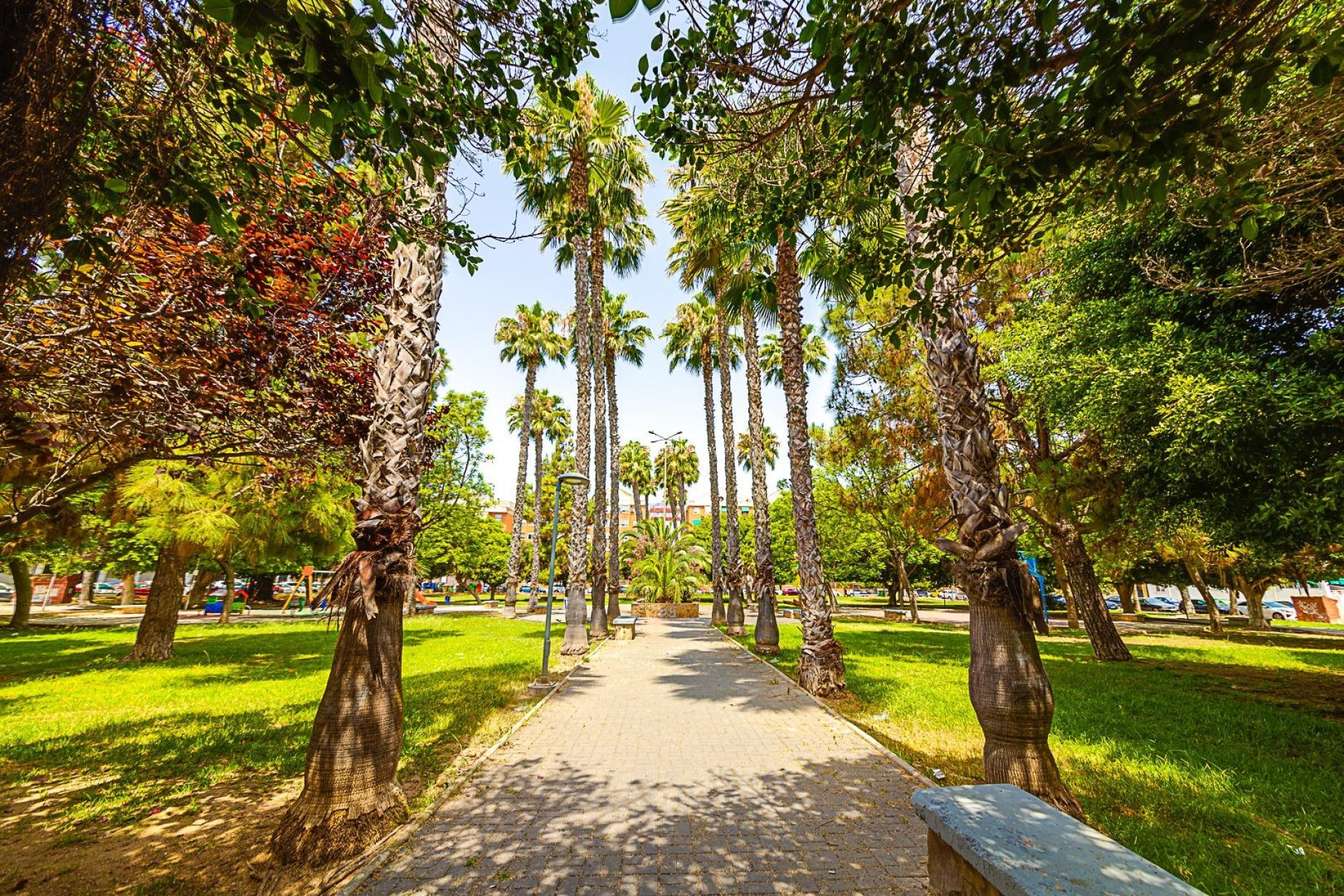 Resale - Apartment / flat - Torrevieja - Playa De Los Naufragos