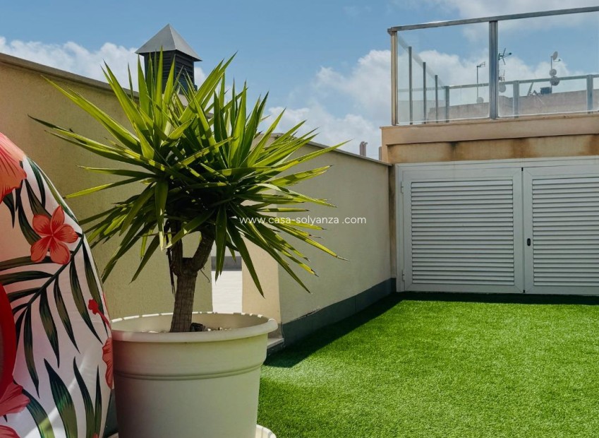 Resale - Apartment / flat - Torrevieja - Playa del Cura