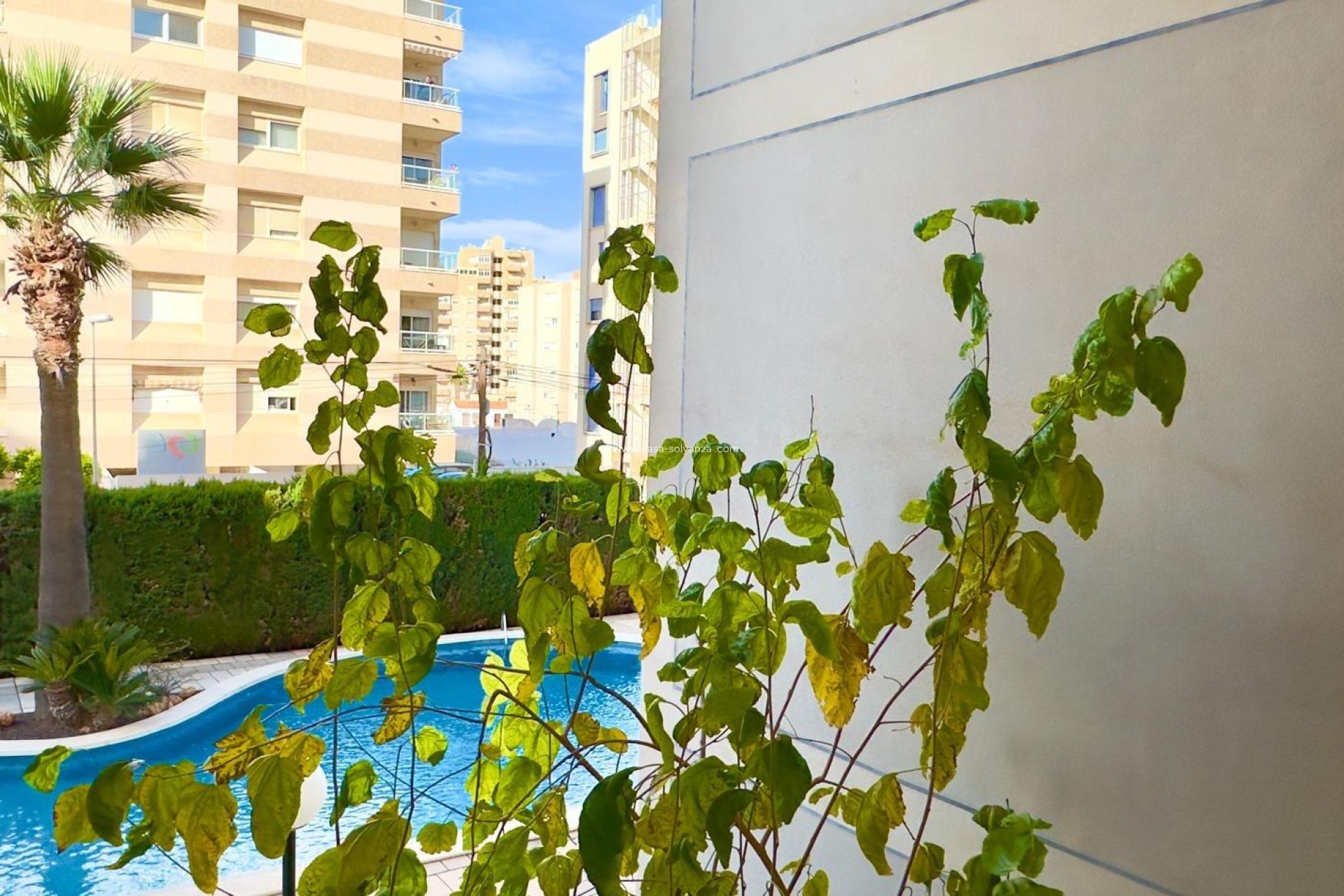 Resale - Apartment / flat - Torrevieja - Playa del Cura