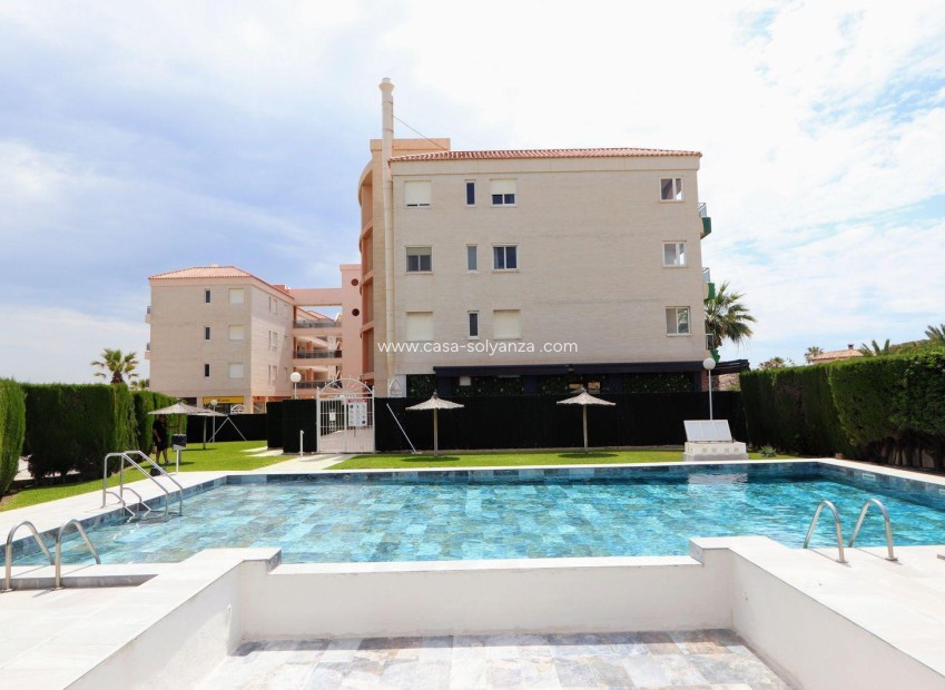 Resale - Apartment / flat - Torrevieja - Playa Flamenca
