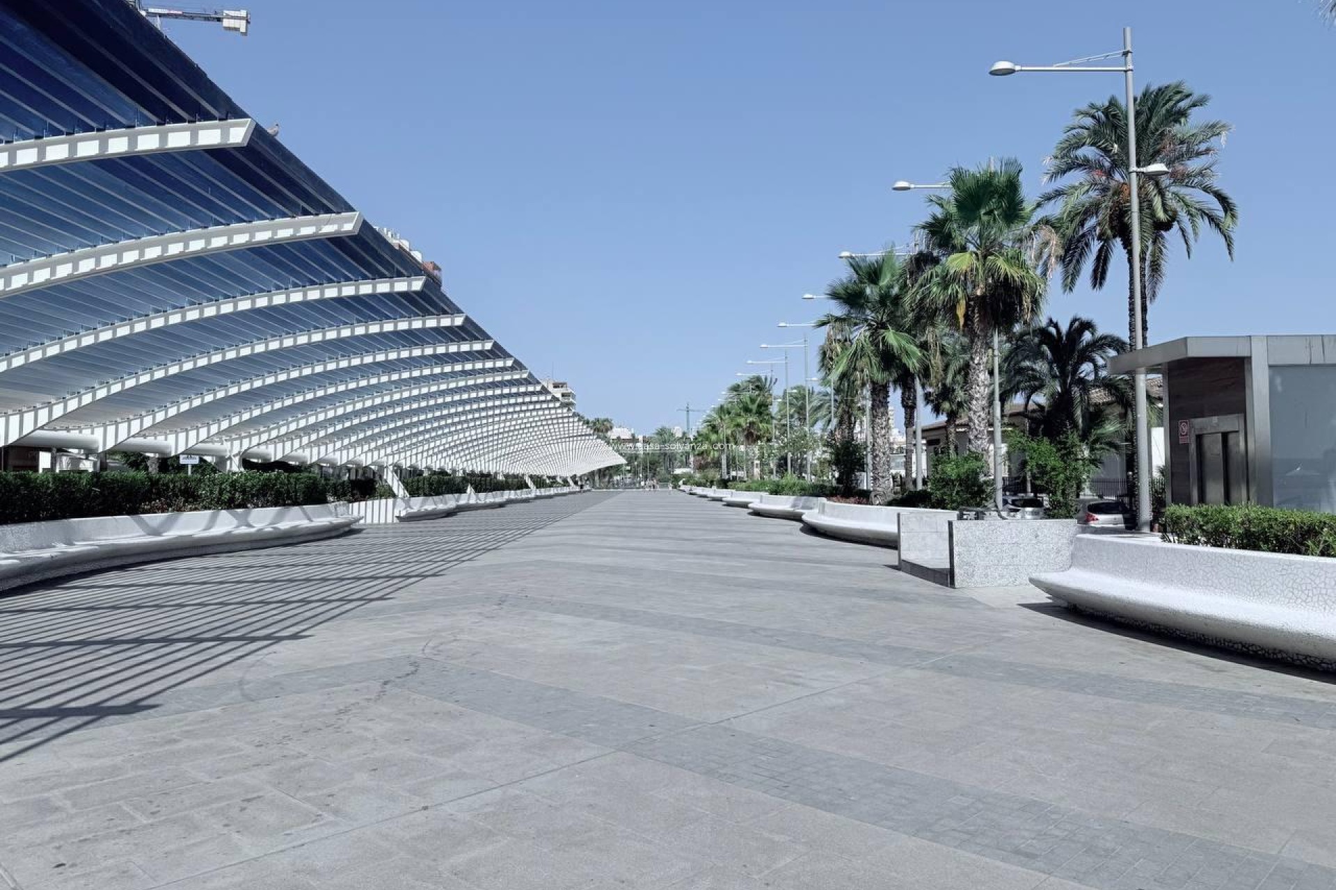 Resale - Apartment / flat - Torrevieja - Puerto