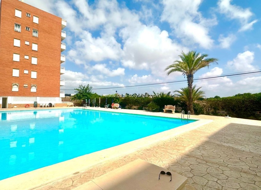 Resale - Apartment / flat - Torrevieja - Punta Prima