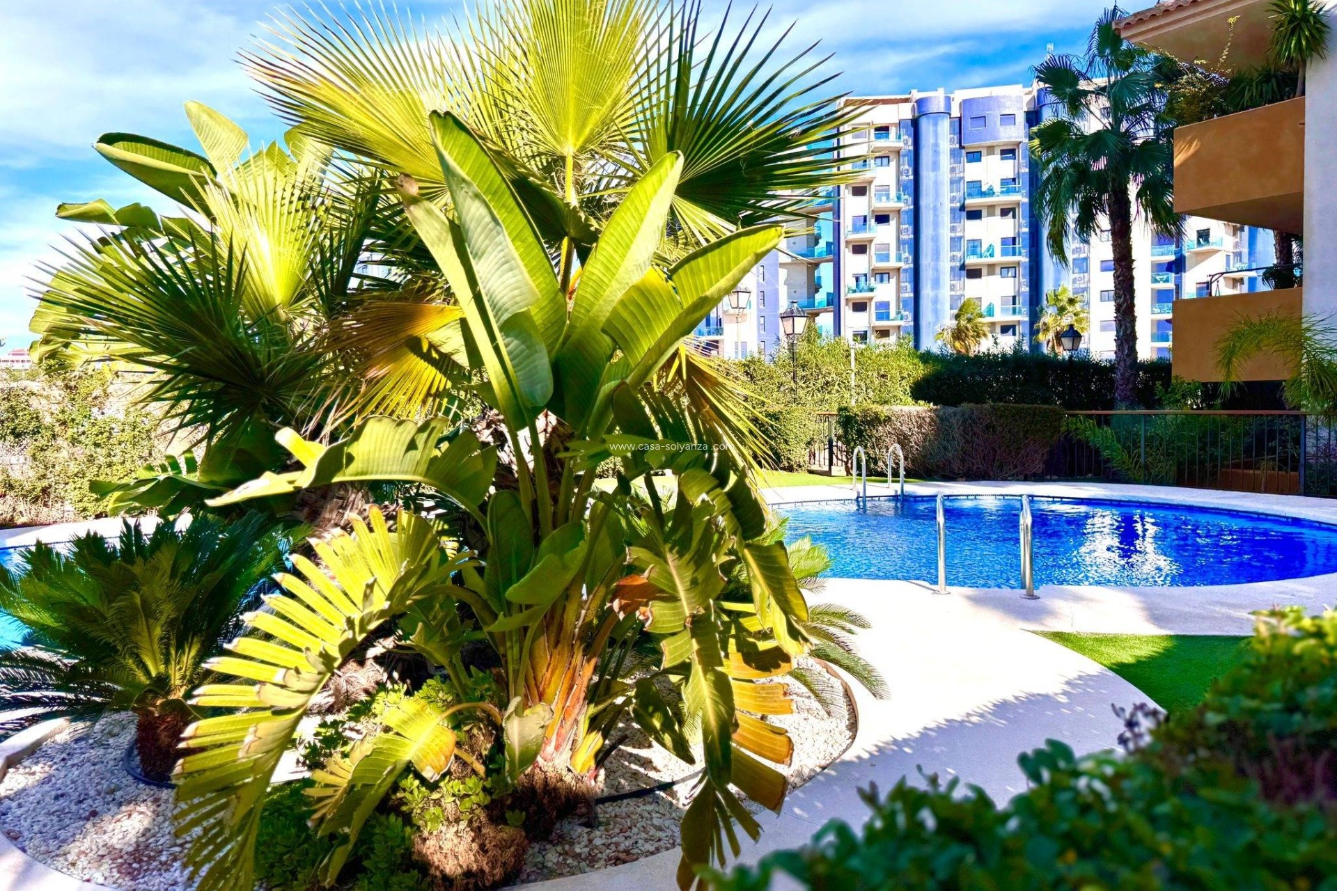 Resale - Apartment / flat - Torrevieja - Punta Prima