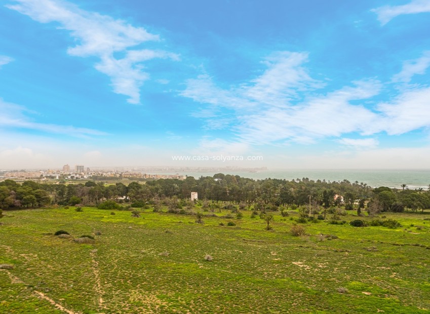 Resale - Apartment / flat - Torrevieja - Punta Prima