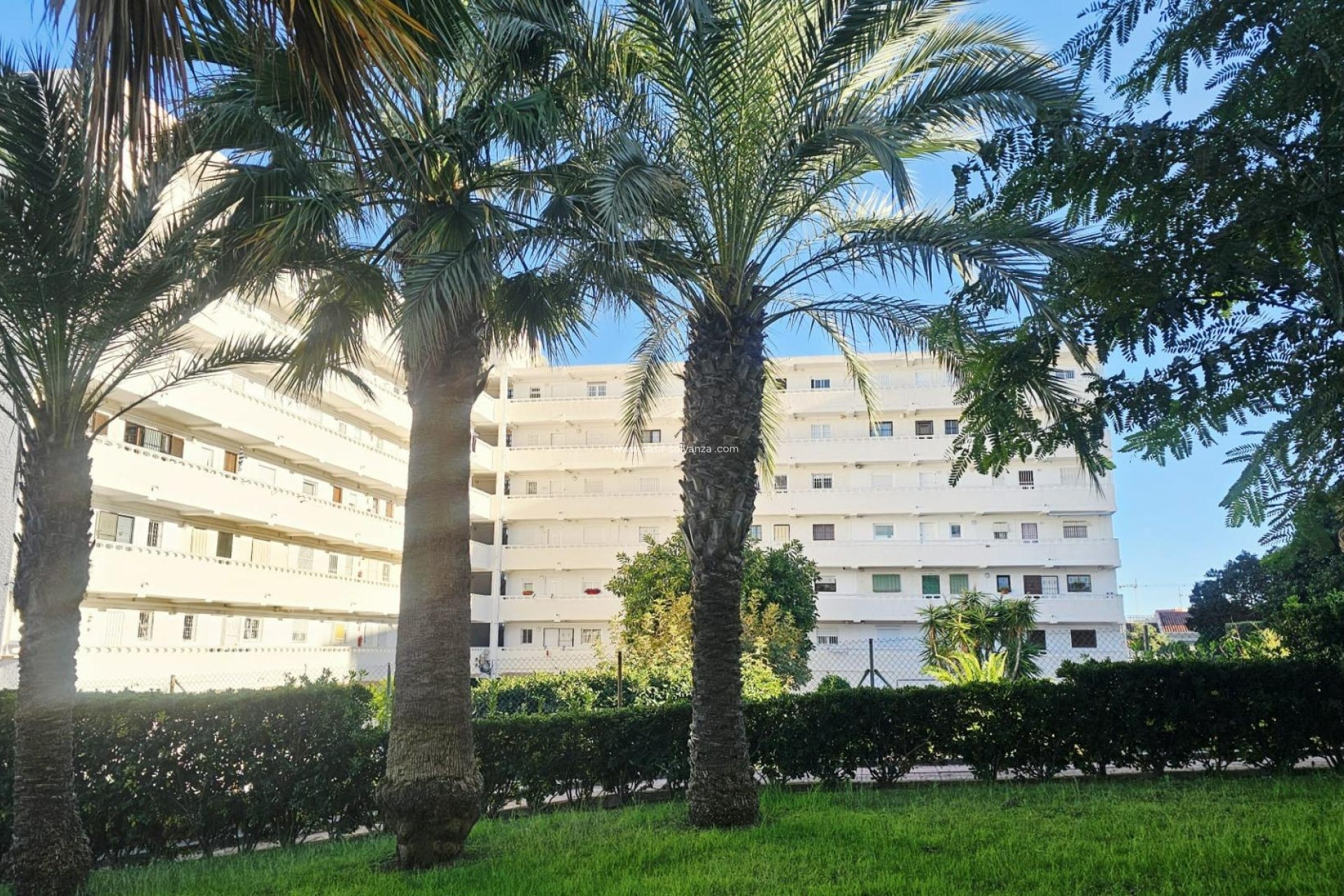 Resale - Apartment / flat - Torrevieja - Torreblanca