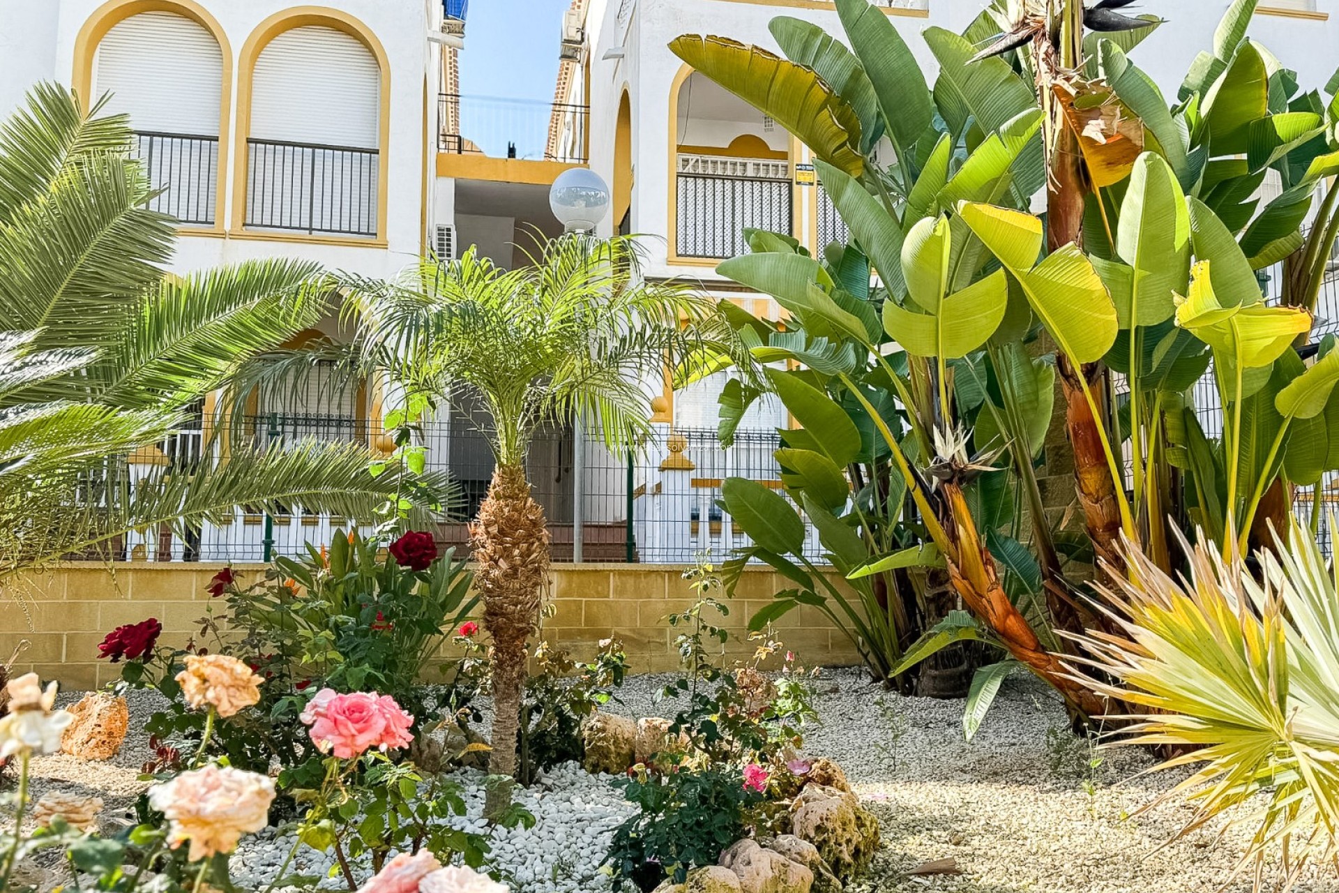 Resale - Apartment / flat - Torrevieja - Torrelamata - La Mata