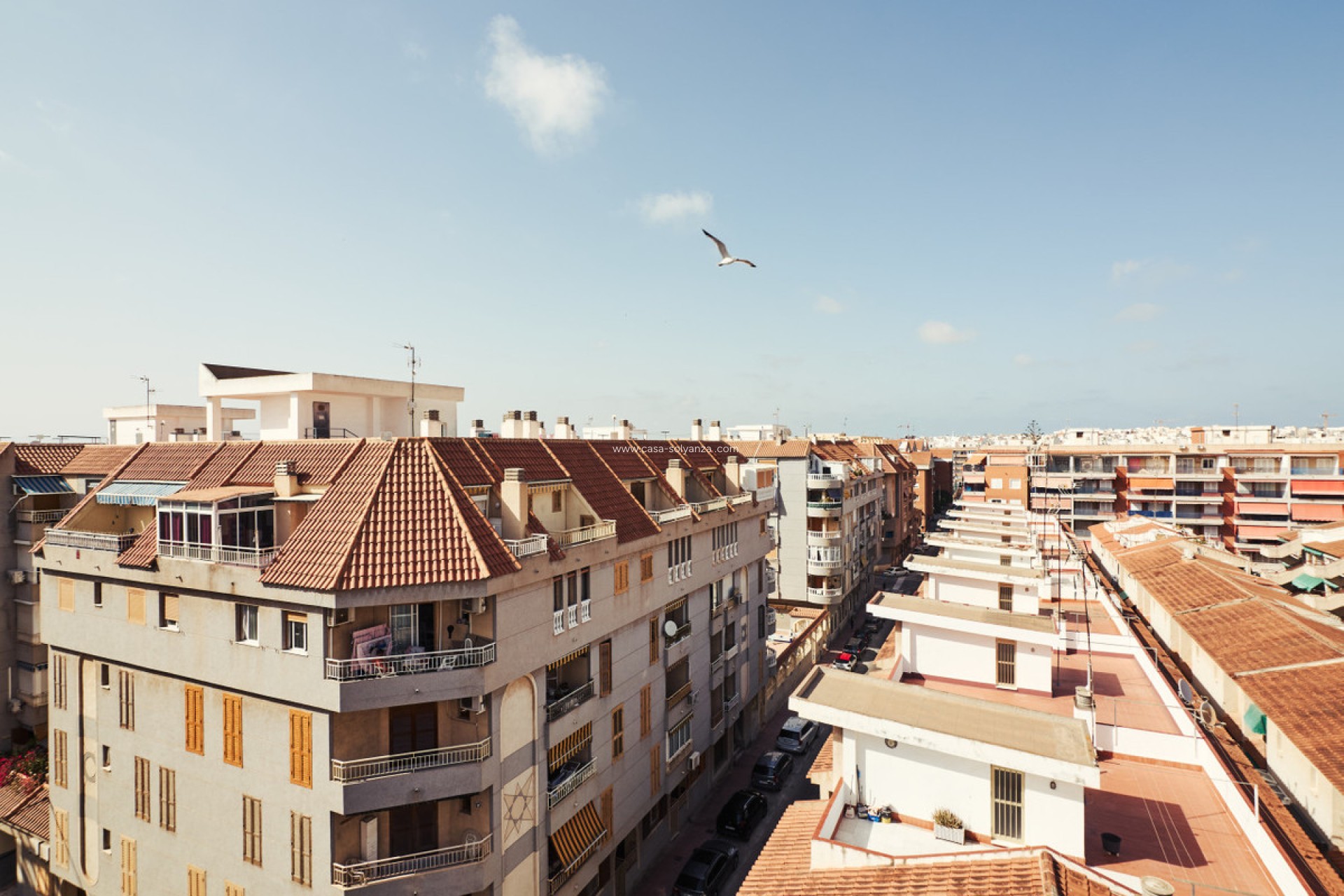 Resale - Apartment / flat - Torrevieja - Torrevieja Centro