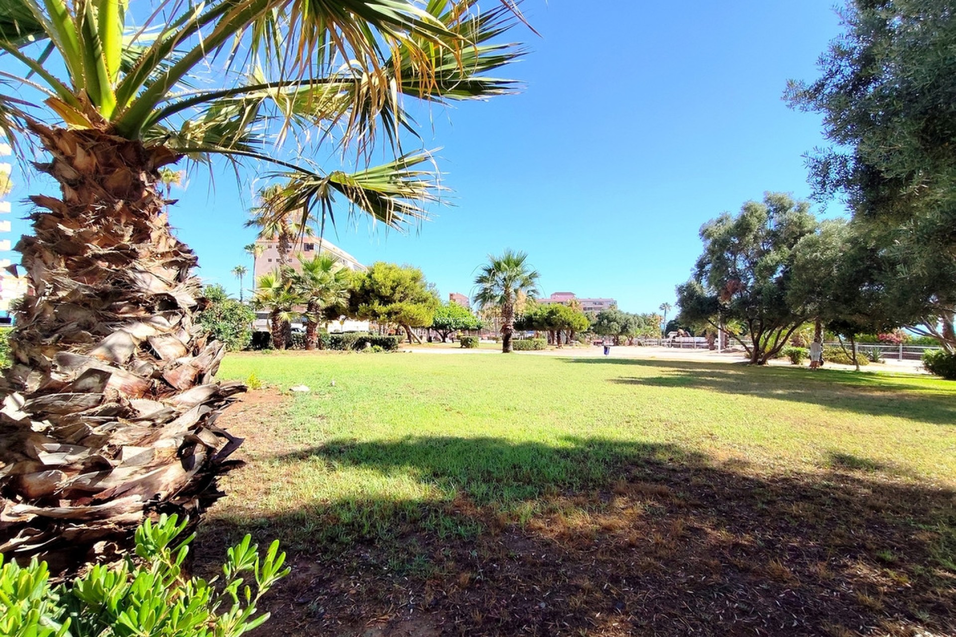Resale - Apartment / flat - Torrevieja - Torrevieja Centro