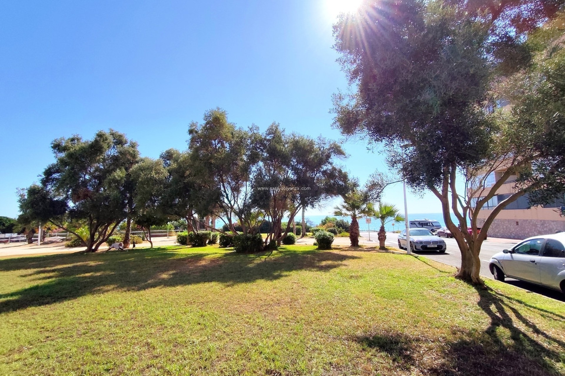 Resale - Apartment / flat - Torrevieja - Torrevieja Centro
