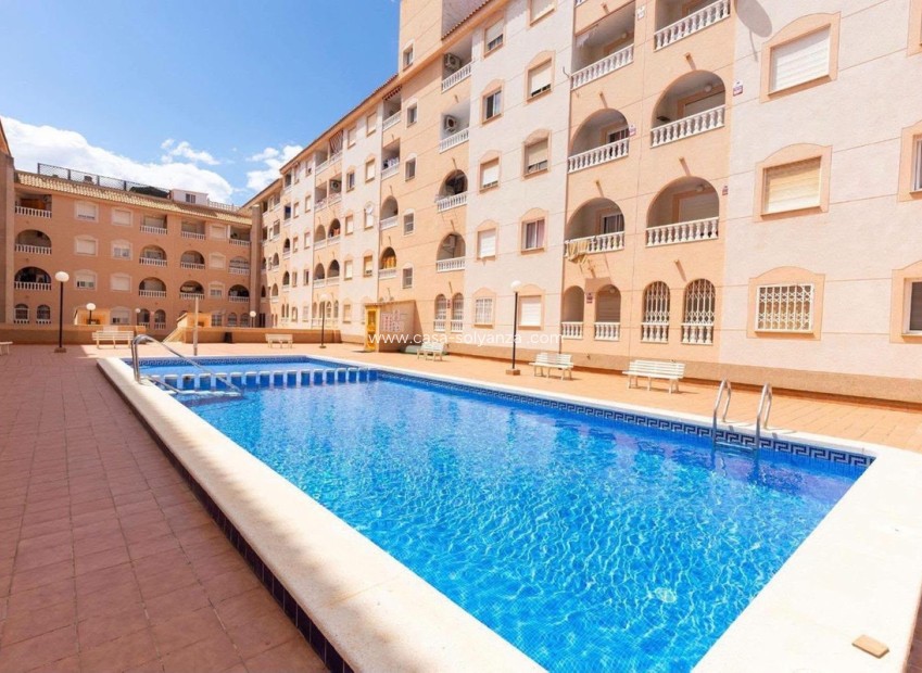 Resale - Apartment / flat - Torrevieja - Torrevieja Centro