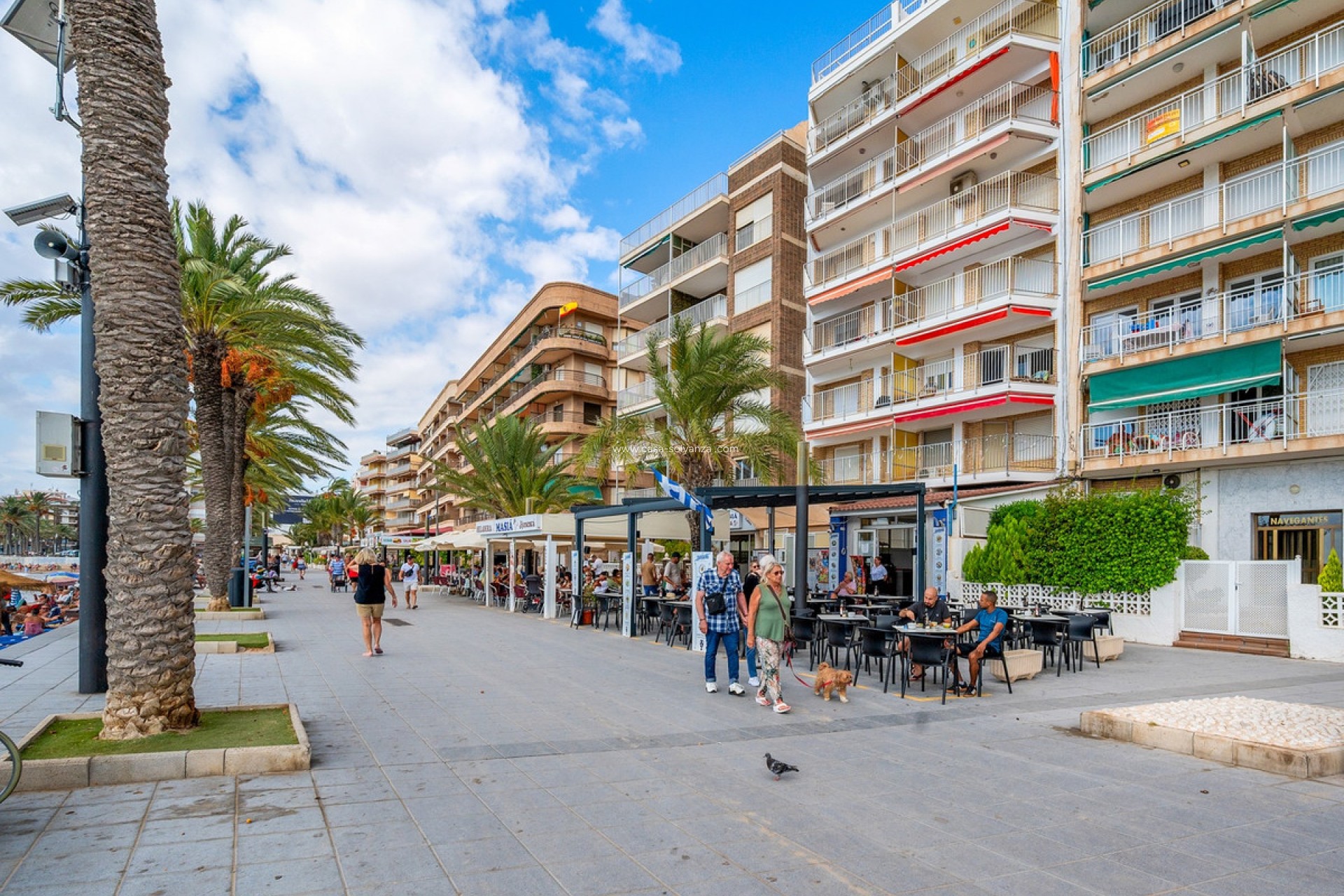 Resale - Apartment / flat - Torrevieja - Torrevieja Centro