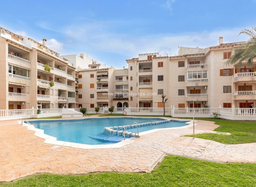 Resale - Apartment / flat - Torrevieja - Torrevieja Centro