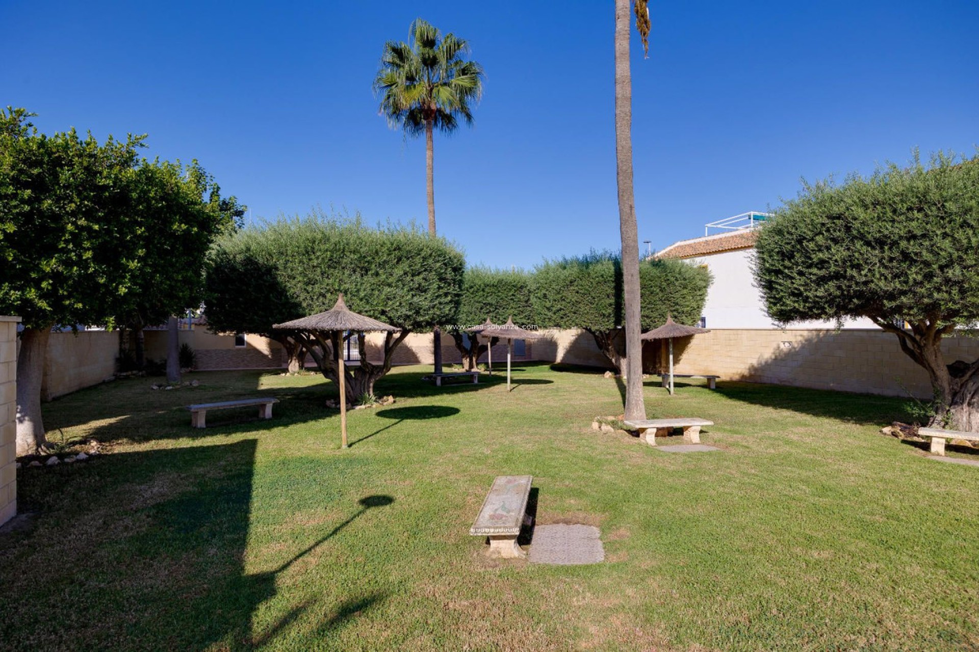 Resale - Apartment / flat - Torrevieja - Torrevieja Centro