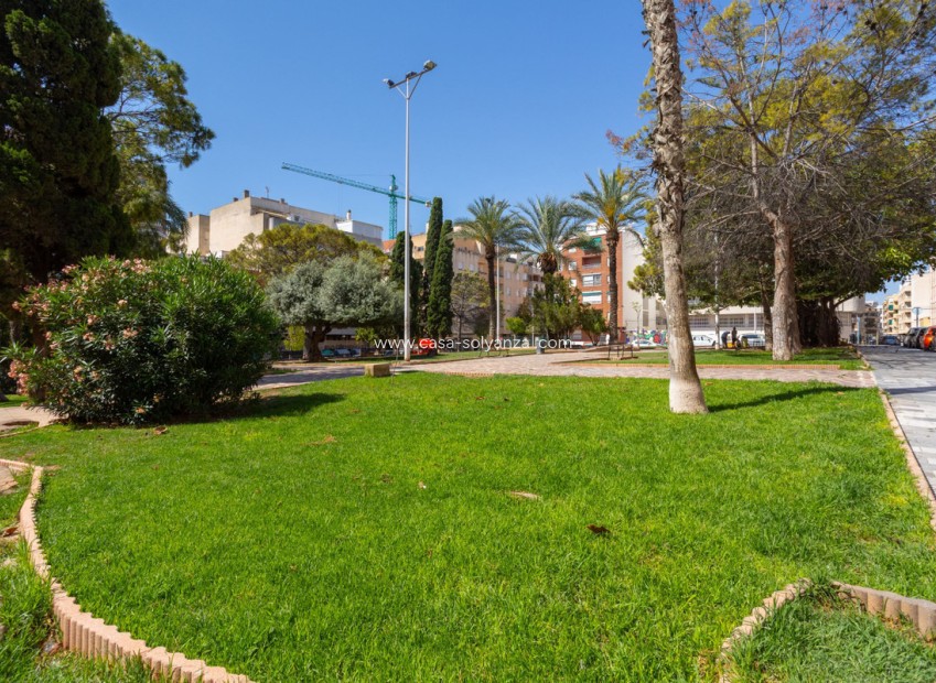 Resale - Apartment / flat - Torrevieja - Torrevieja Centro