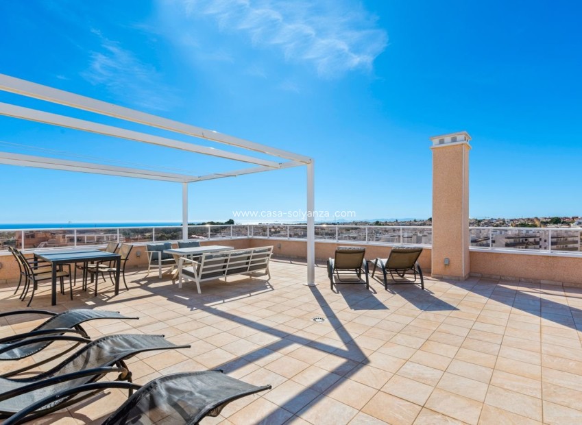 Resale - Apartment / flat - Villamartin - Costa Blanca