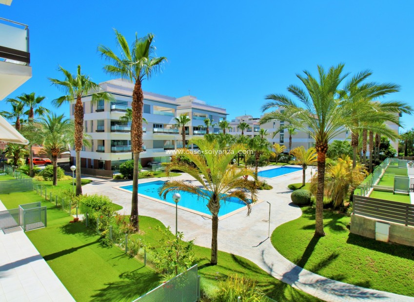 Resale - Apartment / flat - Villamartin - Los Dolses