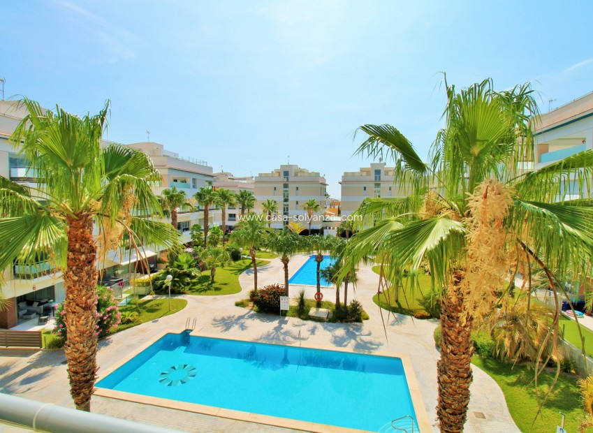 Resale - Apartment / flat - Villamartin - Los Dolses