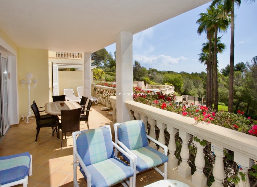 Resale - Apartment - Ground Floor - Portals Nous - Calvià