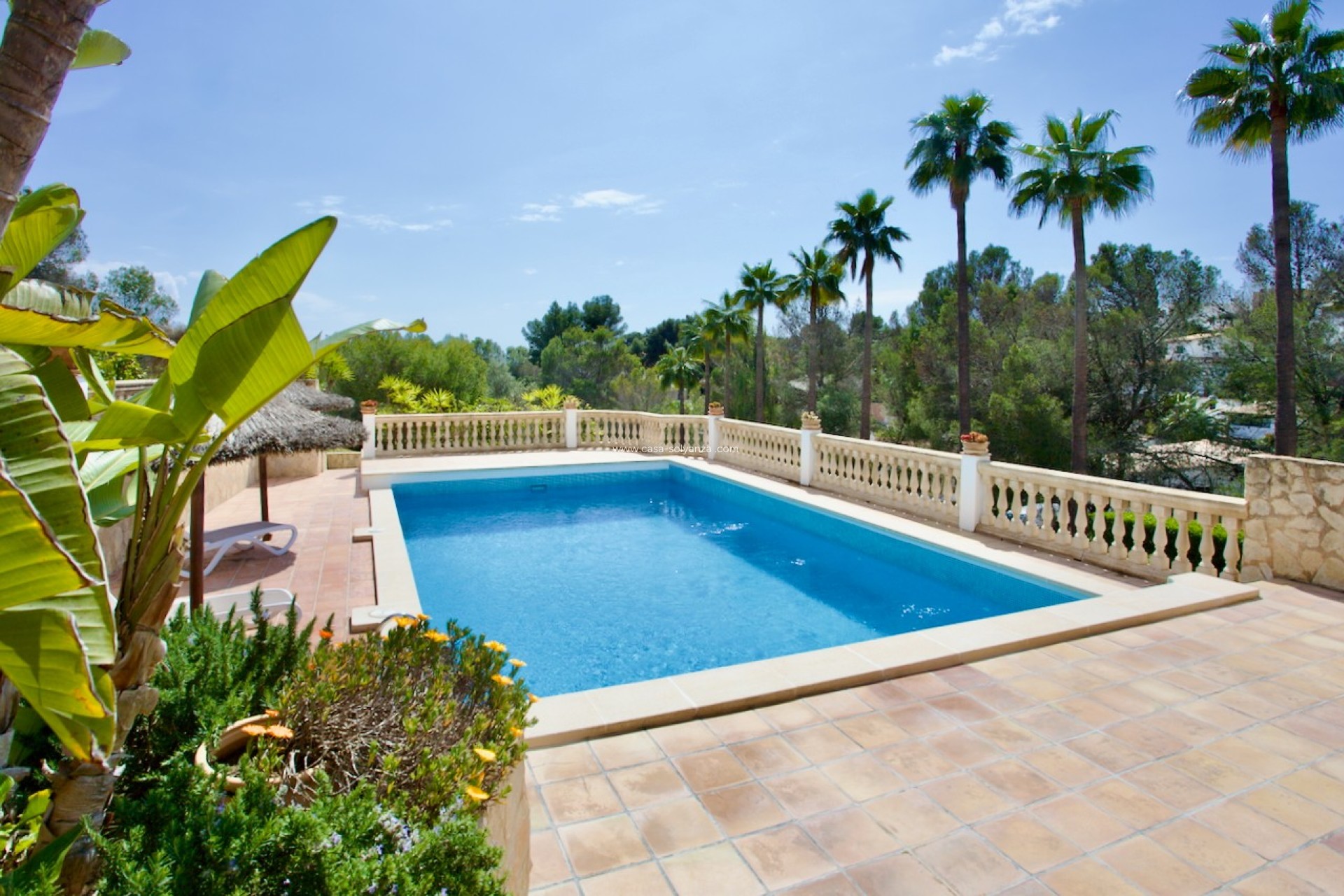 Resale - Apartment - Ground Floor - Portals Nous - Calvià