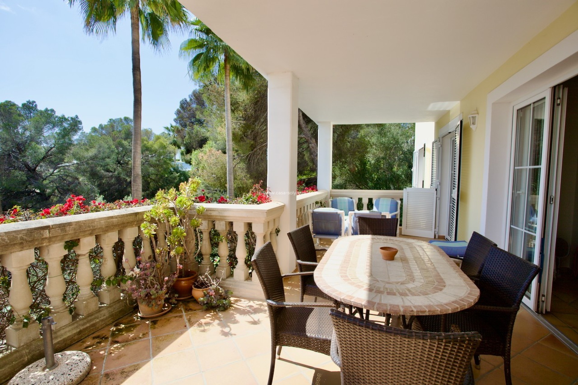 Resale - Apartment - Ground Floor - Portals Nous - Calvià