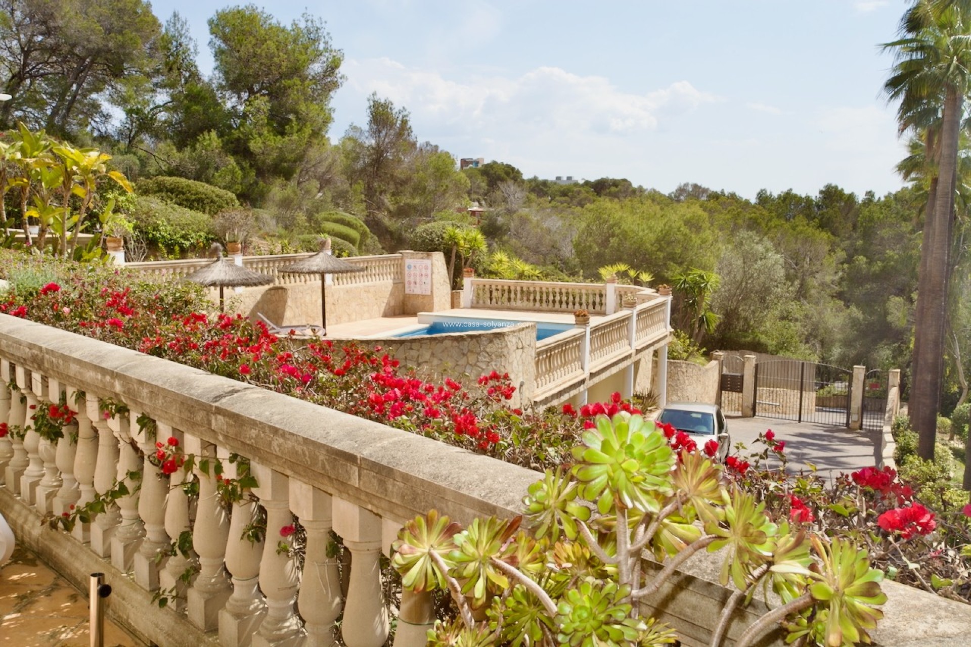 Resale - Apartment - Ground Floor - Portals Nous - Calvià