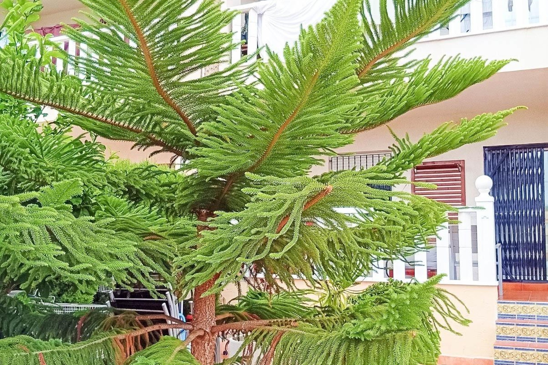 Resale - Bungalow - Orihuela Costa - Lomas De Cabo Roig-los Dolses