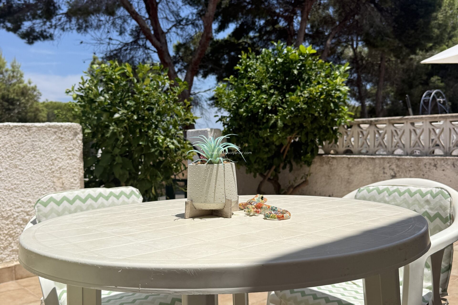 Resale - Bungalow - Torrevieja - 0