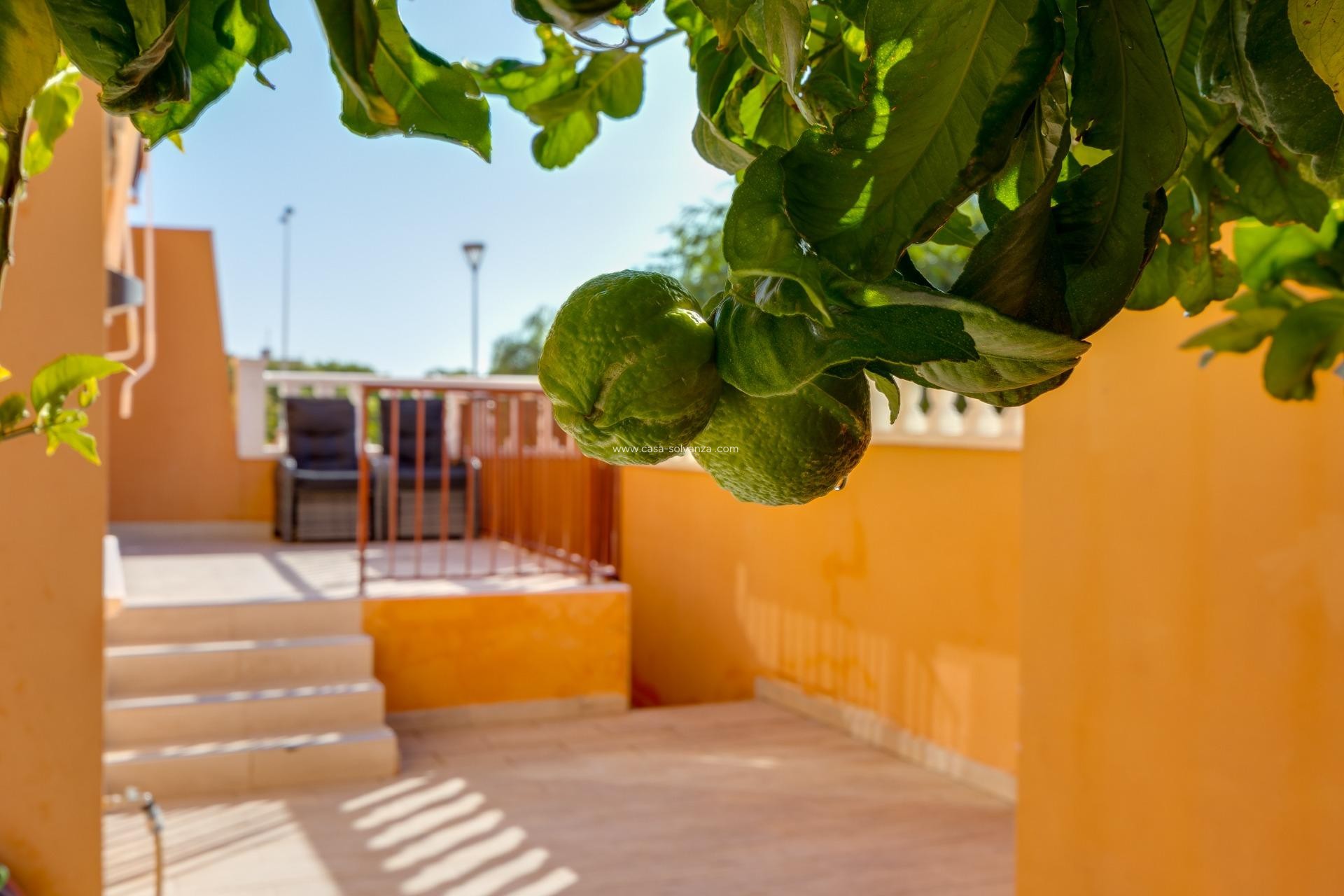 Resale - Bungalow - Torrevieja - Aguas nuevas