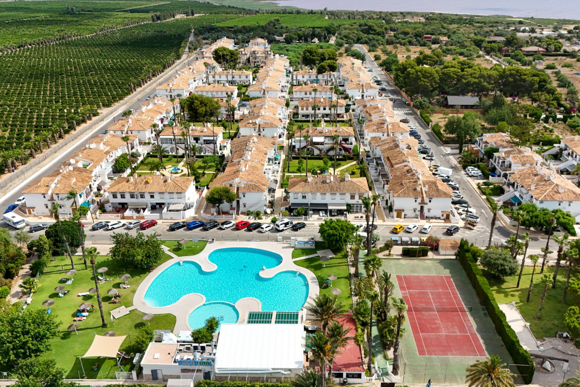 Resale - Bungalow - Torrevieja - Costa Blanca