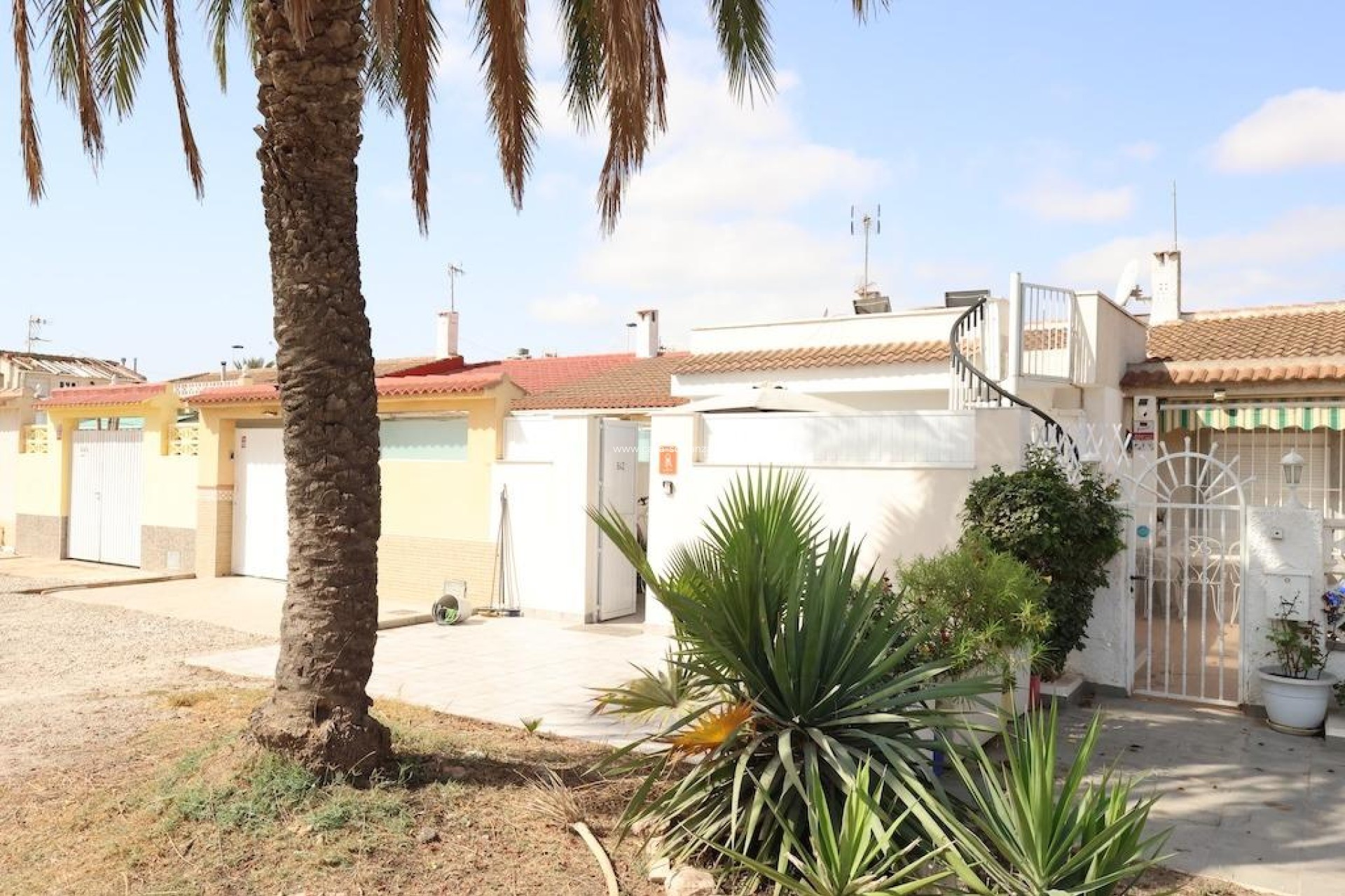 Resale - Bungalow - Torrevieja - Costa Blanca