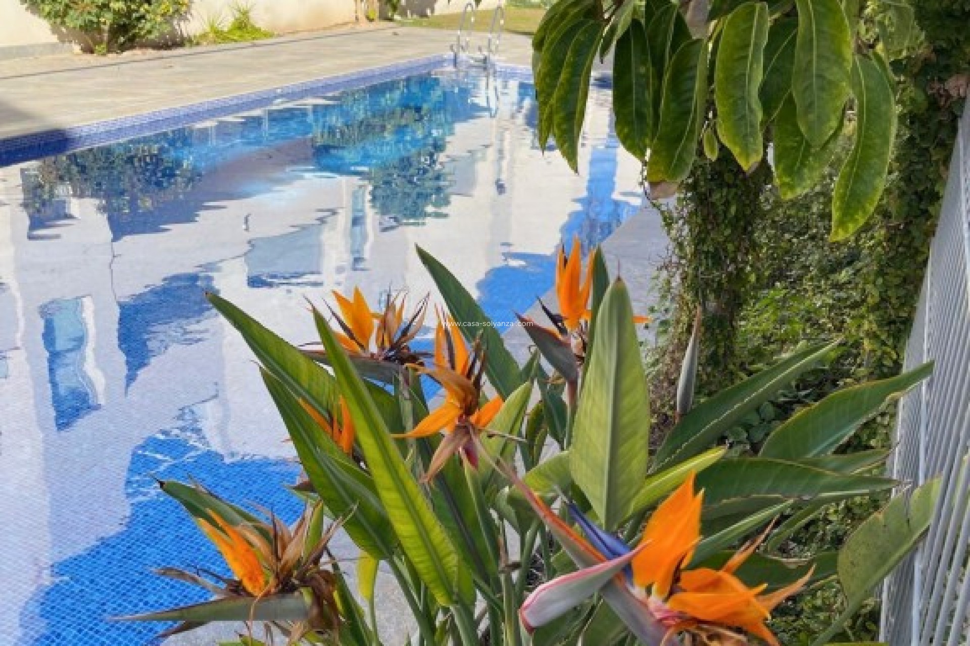 Resale - Bungalow - Torrevieja - Costa Blanca