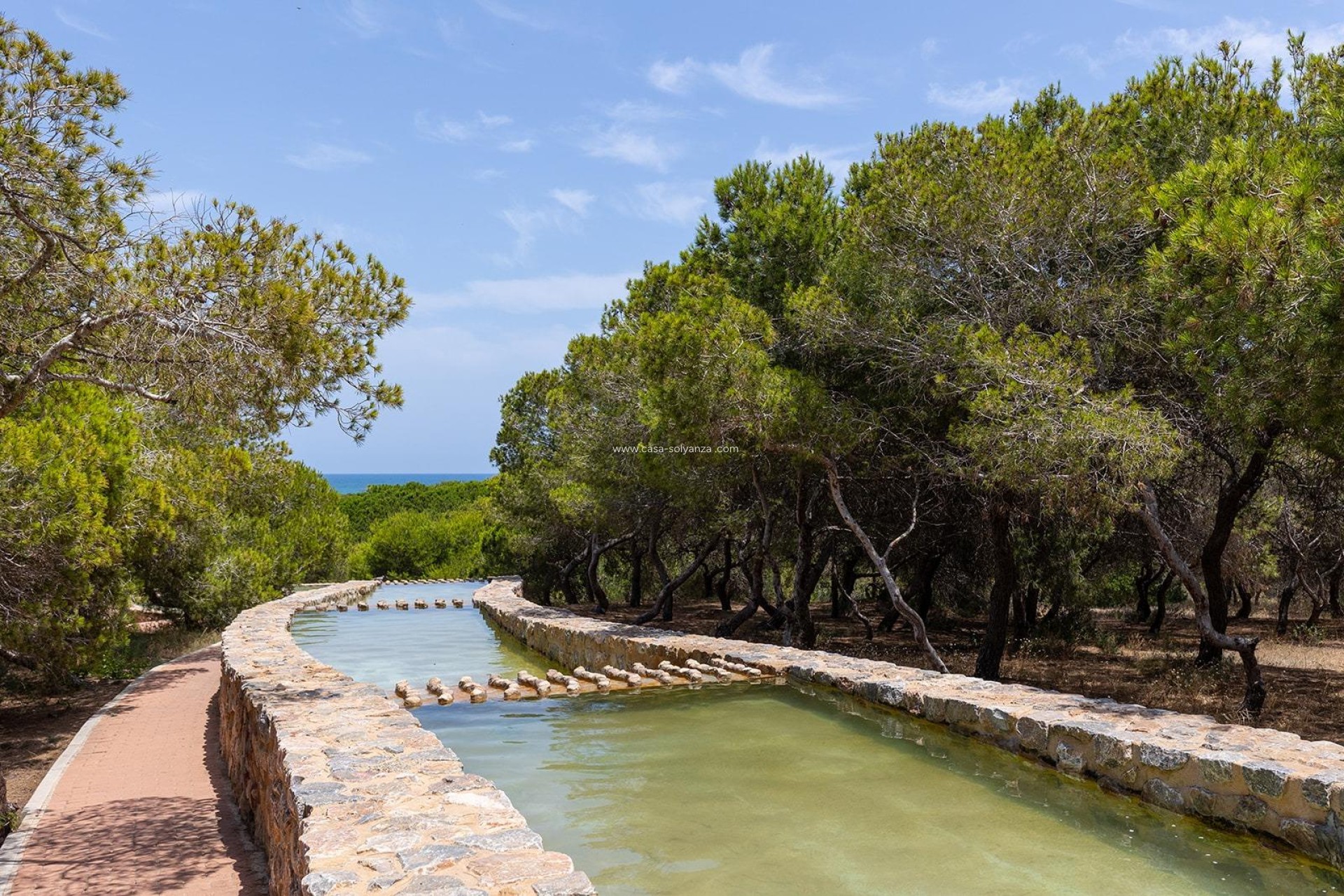 Resale - Bungalow - Torrevieja - Costa Blanca