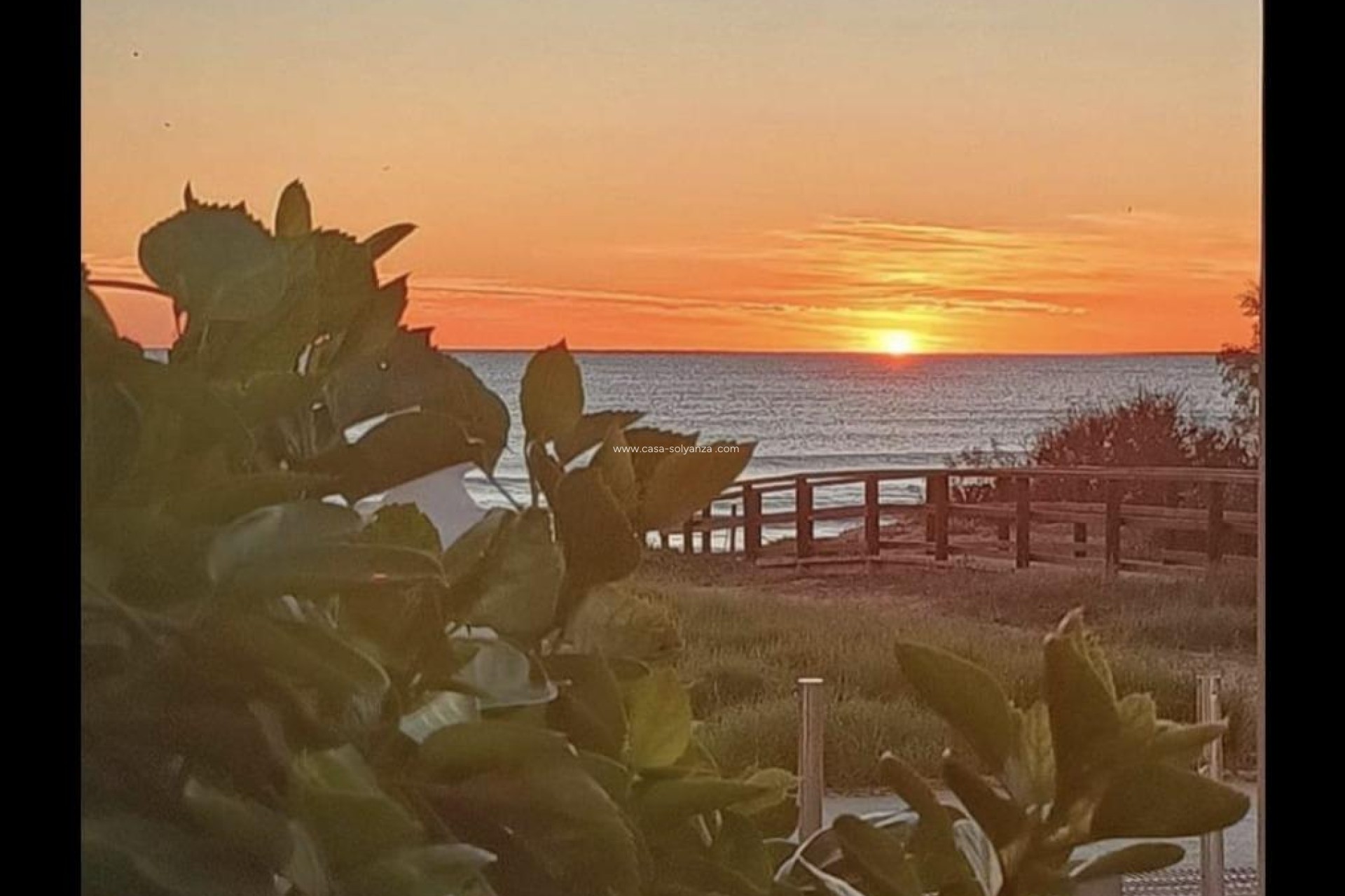 Resale - Bungalow - Torrevieja - La Mata