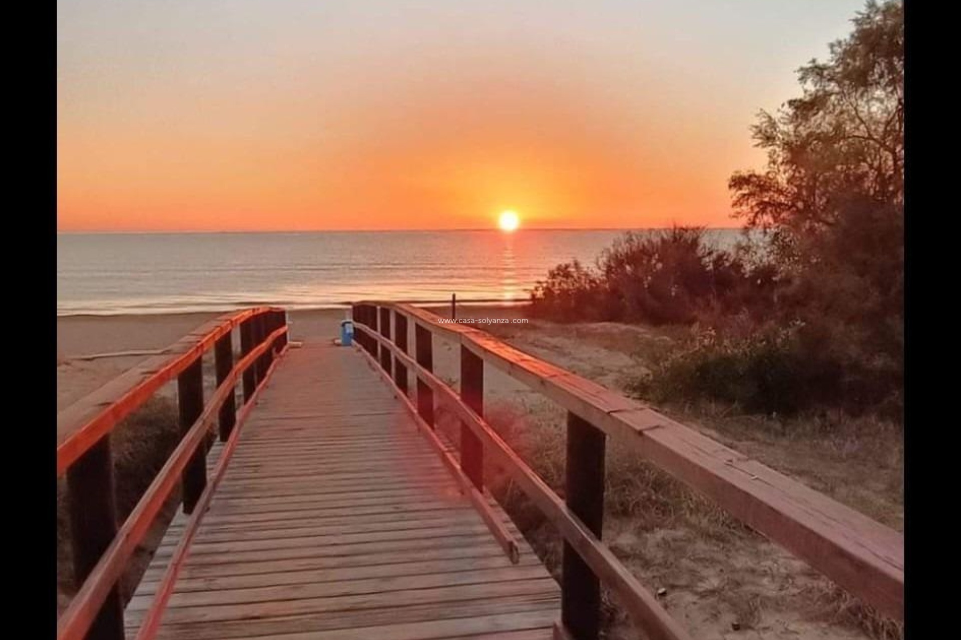 Resale - Bungalow - Torrevieja - La Mata