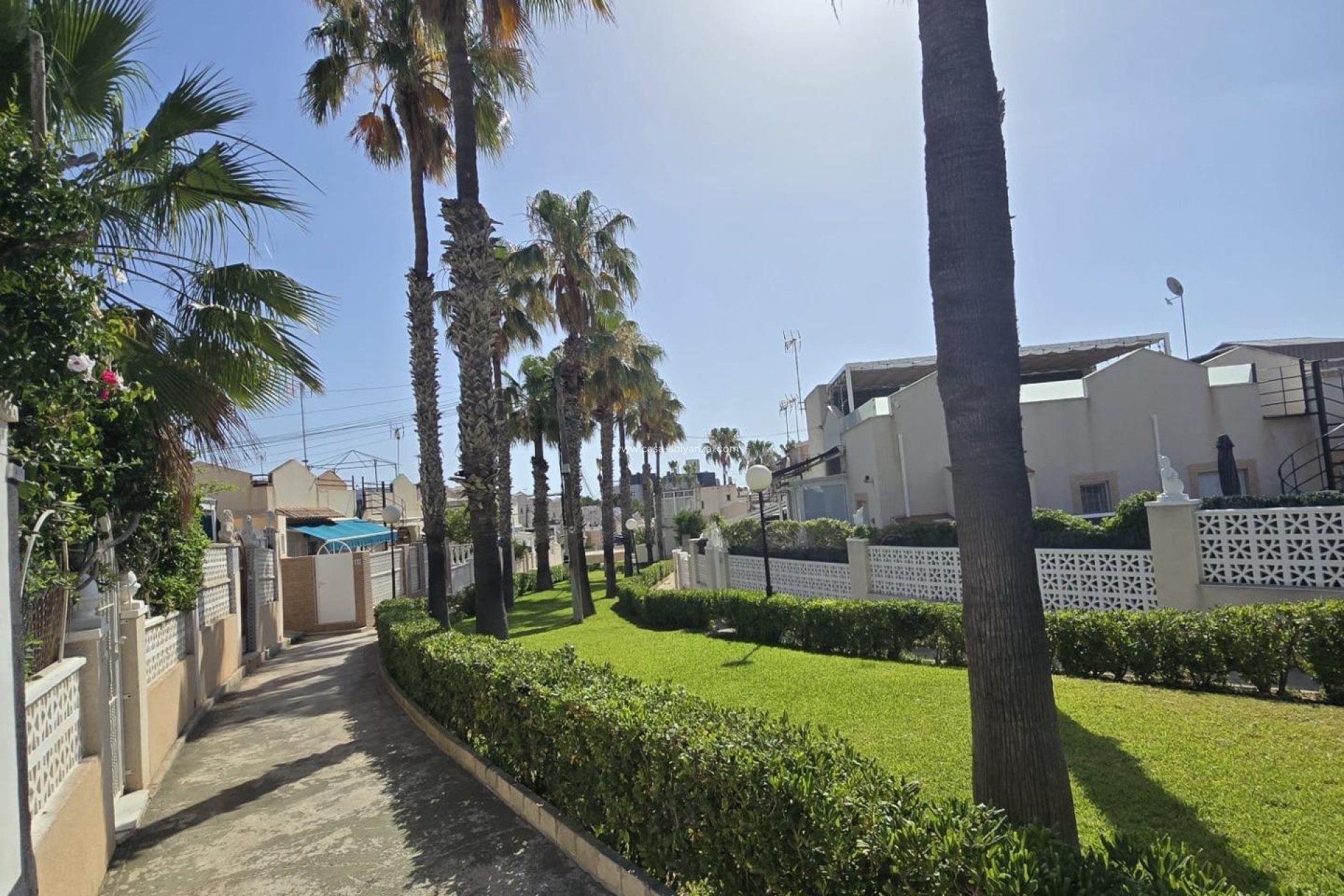 Resale - Bungalow - Torrevieja - Los Balcones