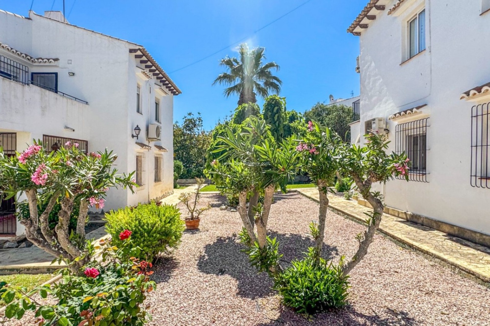 Resale - Bungalow - Torrevieja - Los Balcones