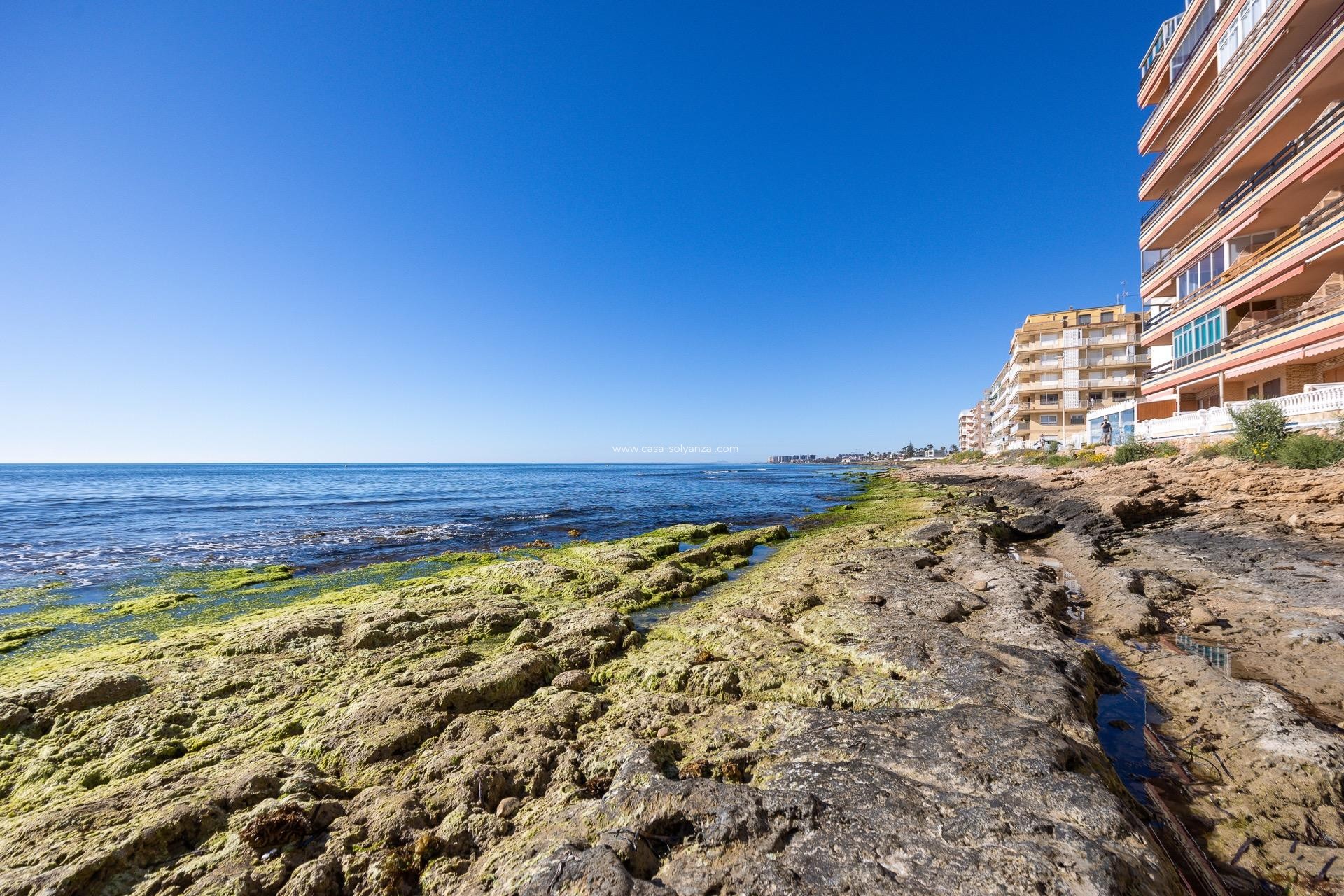 Resale - Bungalow - Torrevieja - Playa De Los Naufragos