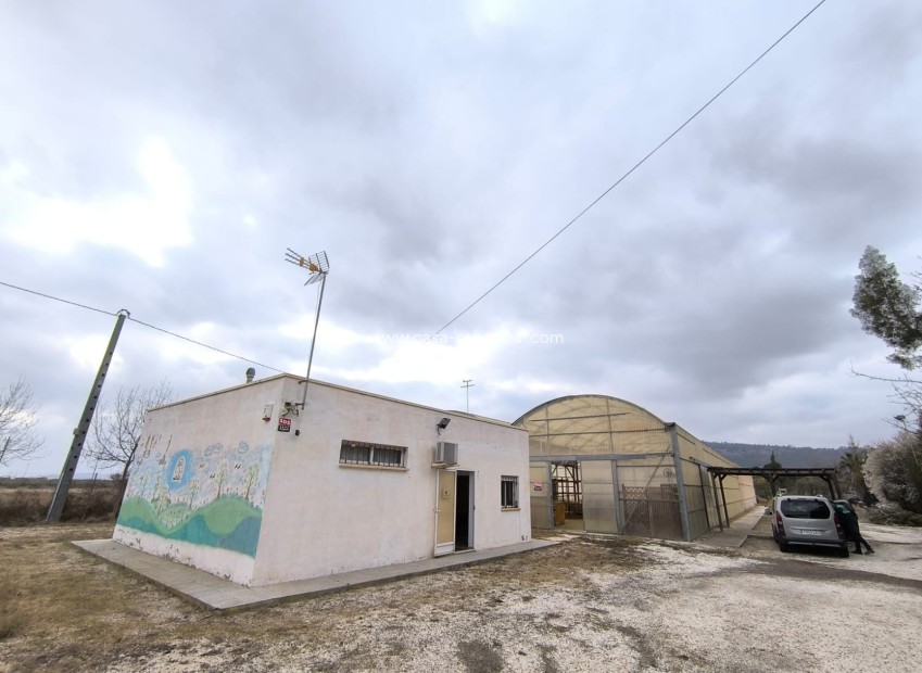 Resale - Commercial - Aspe - Inland