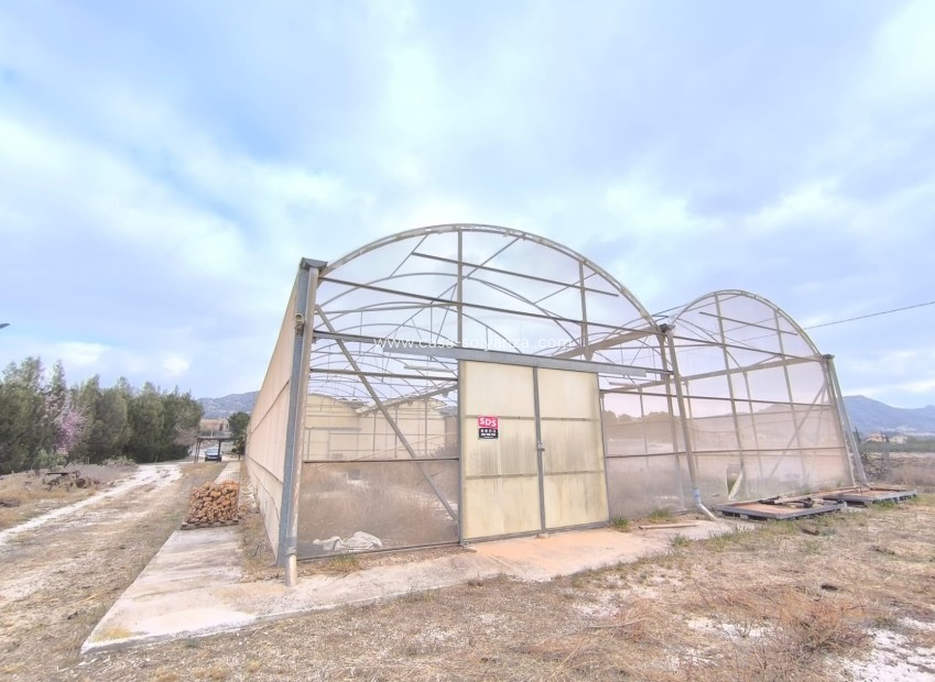 Resale - Commercial - Aspe - Inland