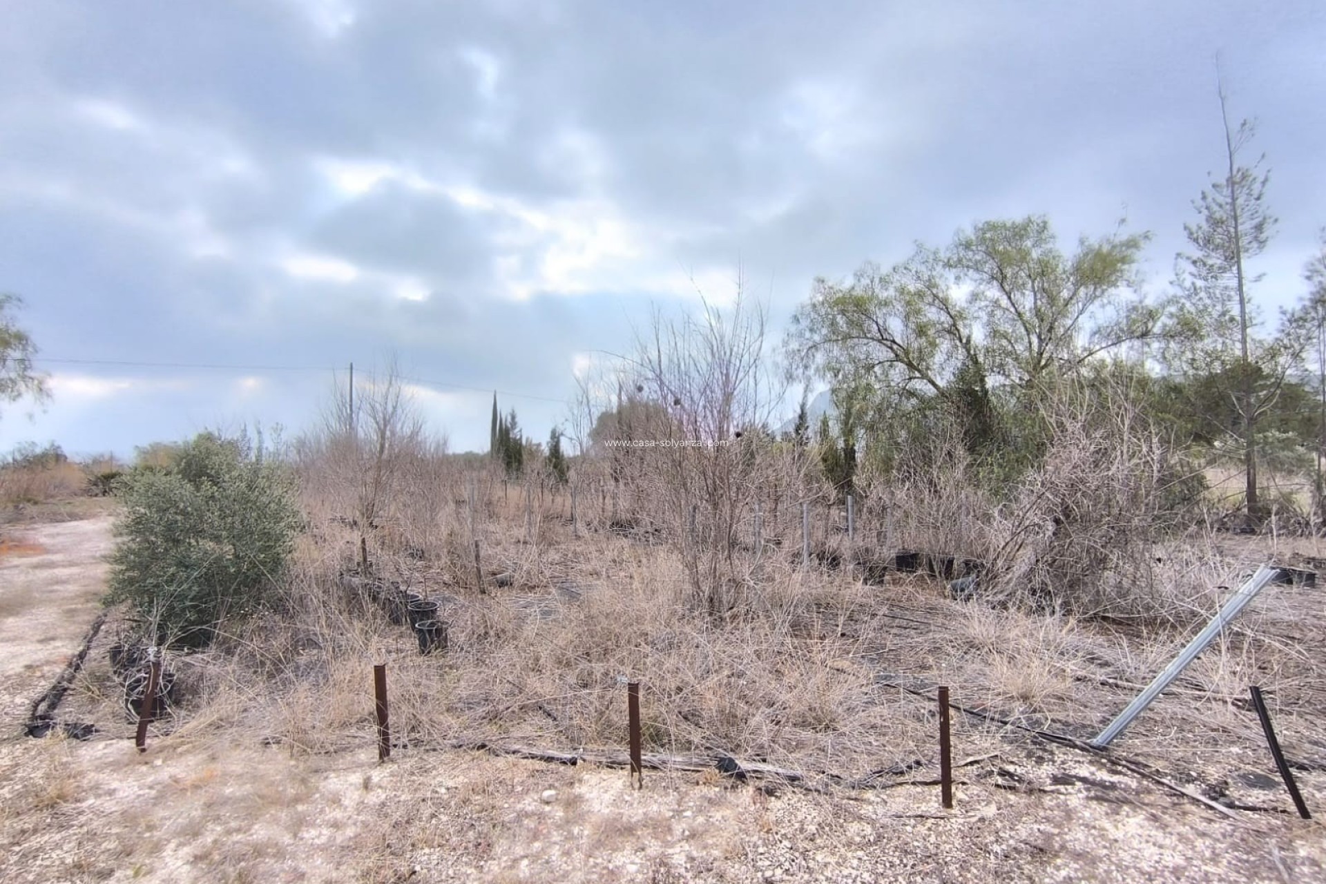 Resale - Commercial - Aspe - Inland