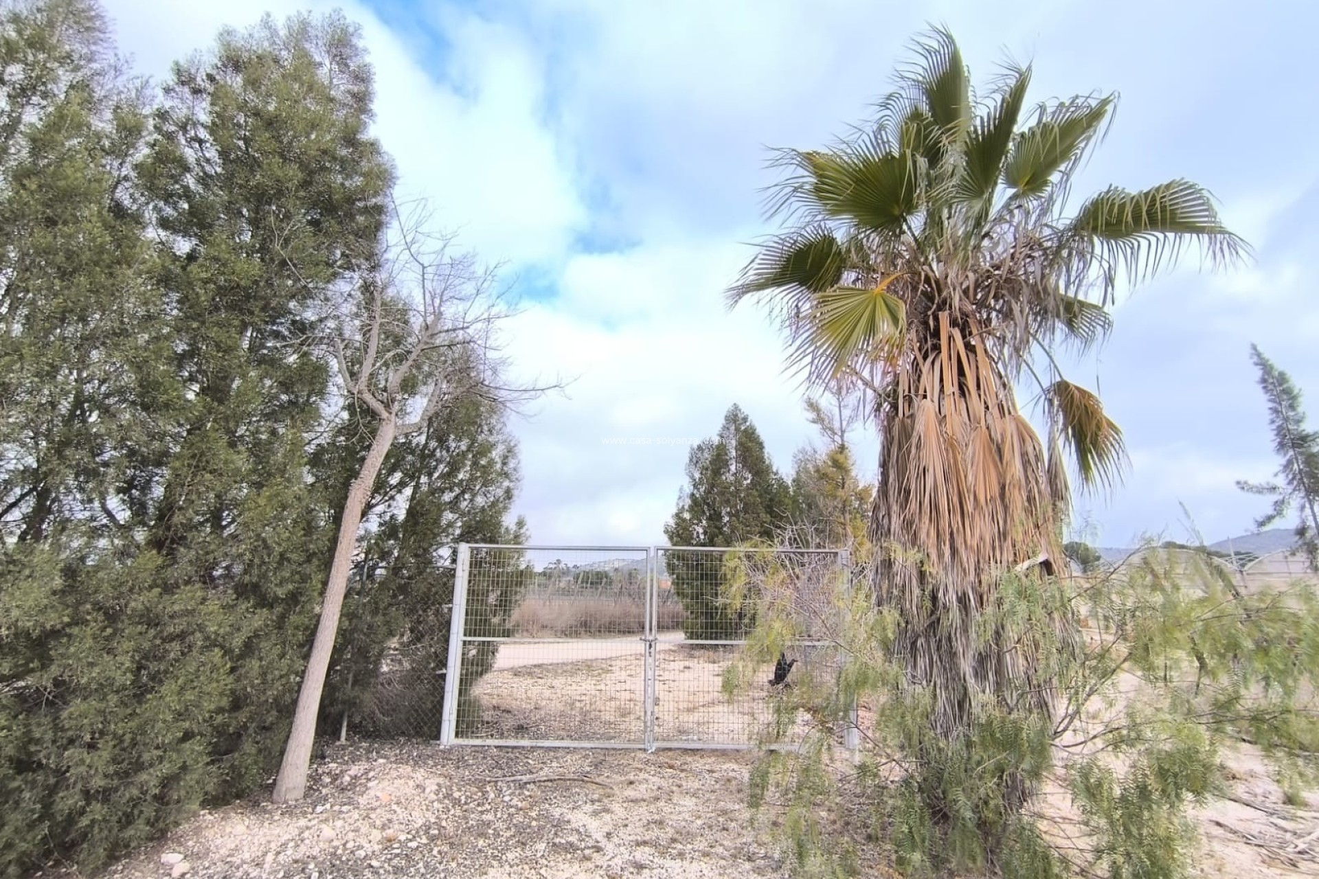 Resale - Commercial - Aspe - Inland