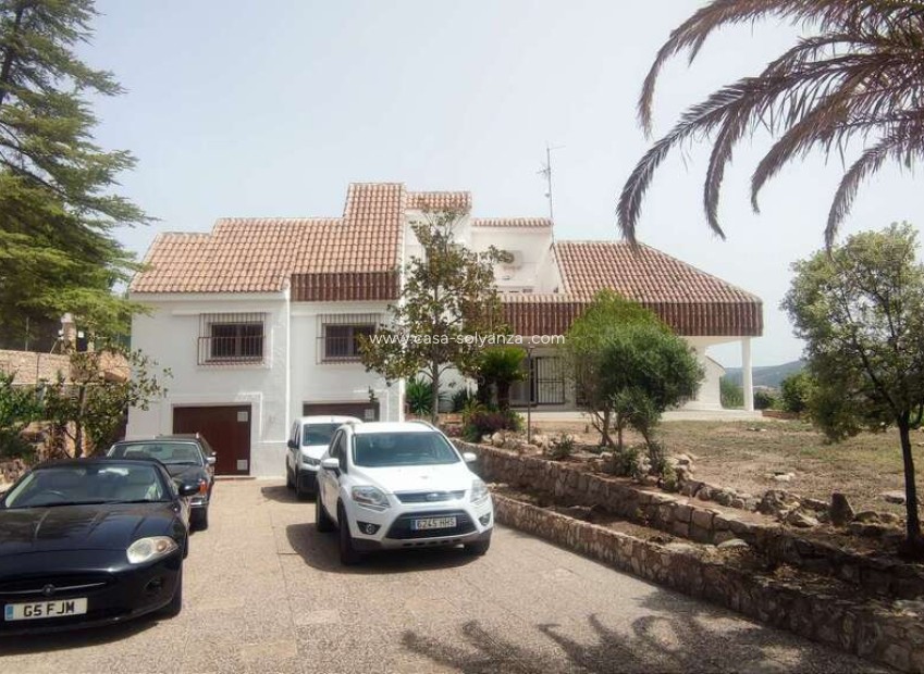 Resale - Commercial - Ayora