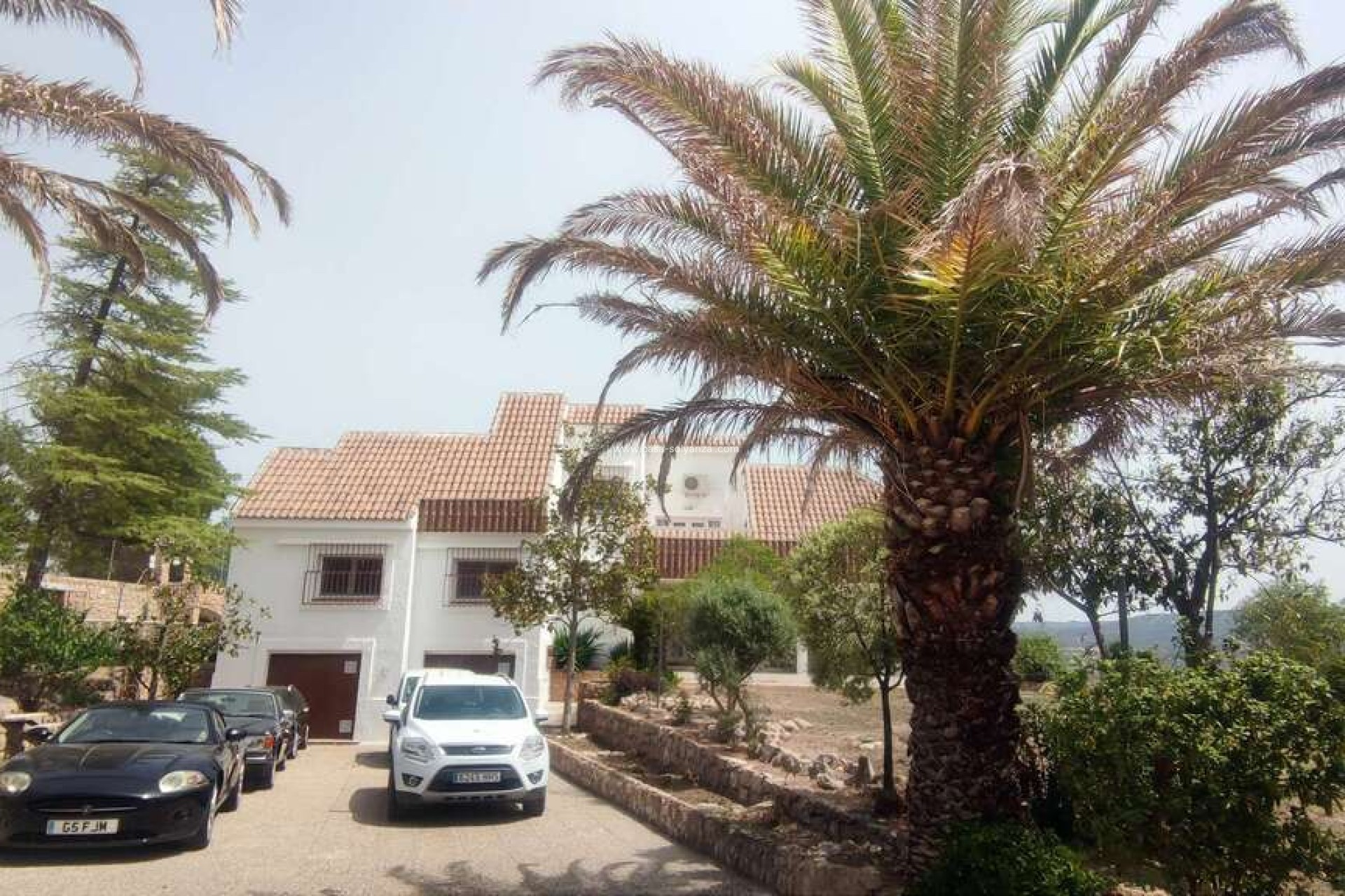 Resale - Commercial - Ayora