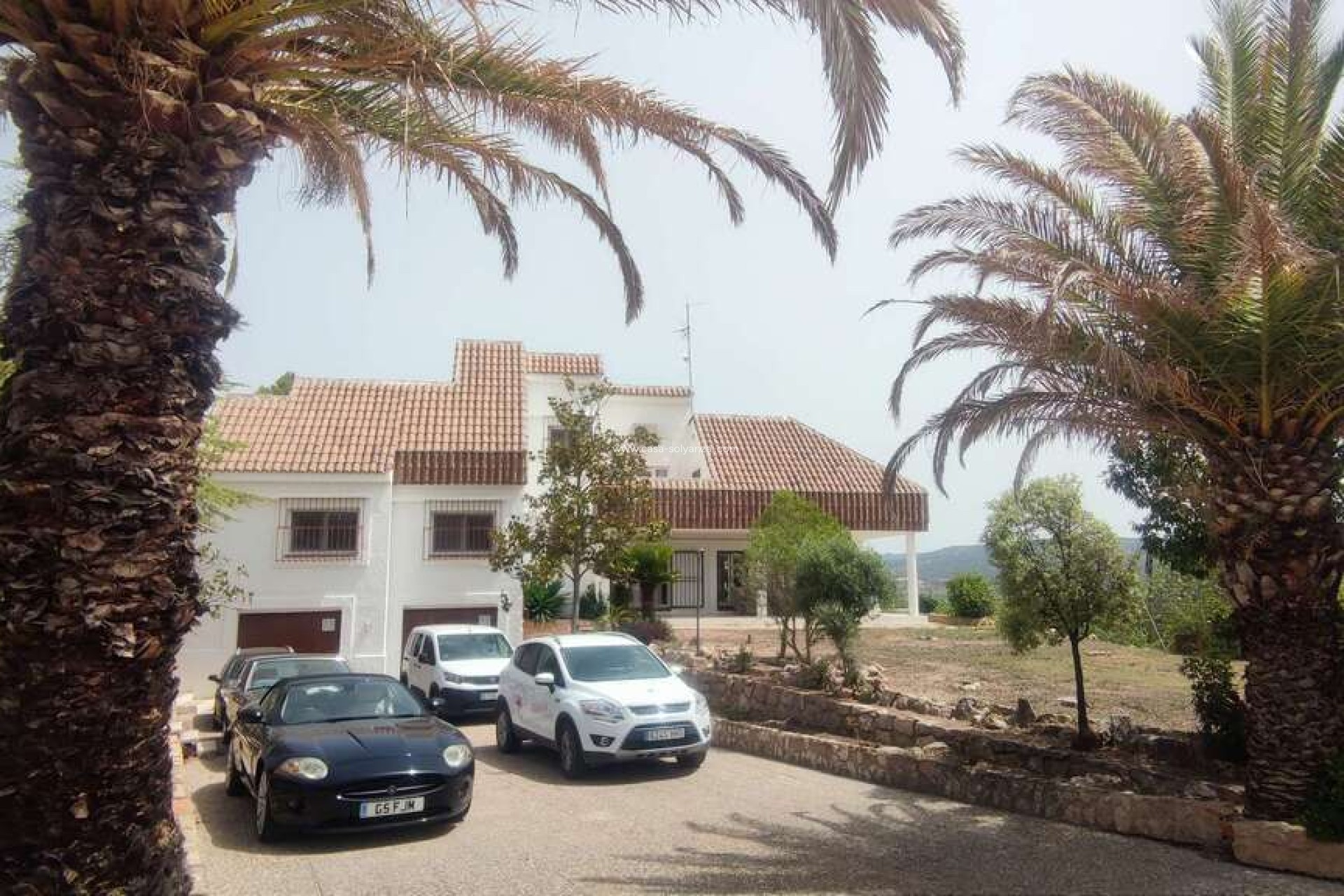 Resale - Commercial - Ayora