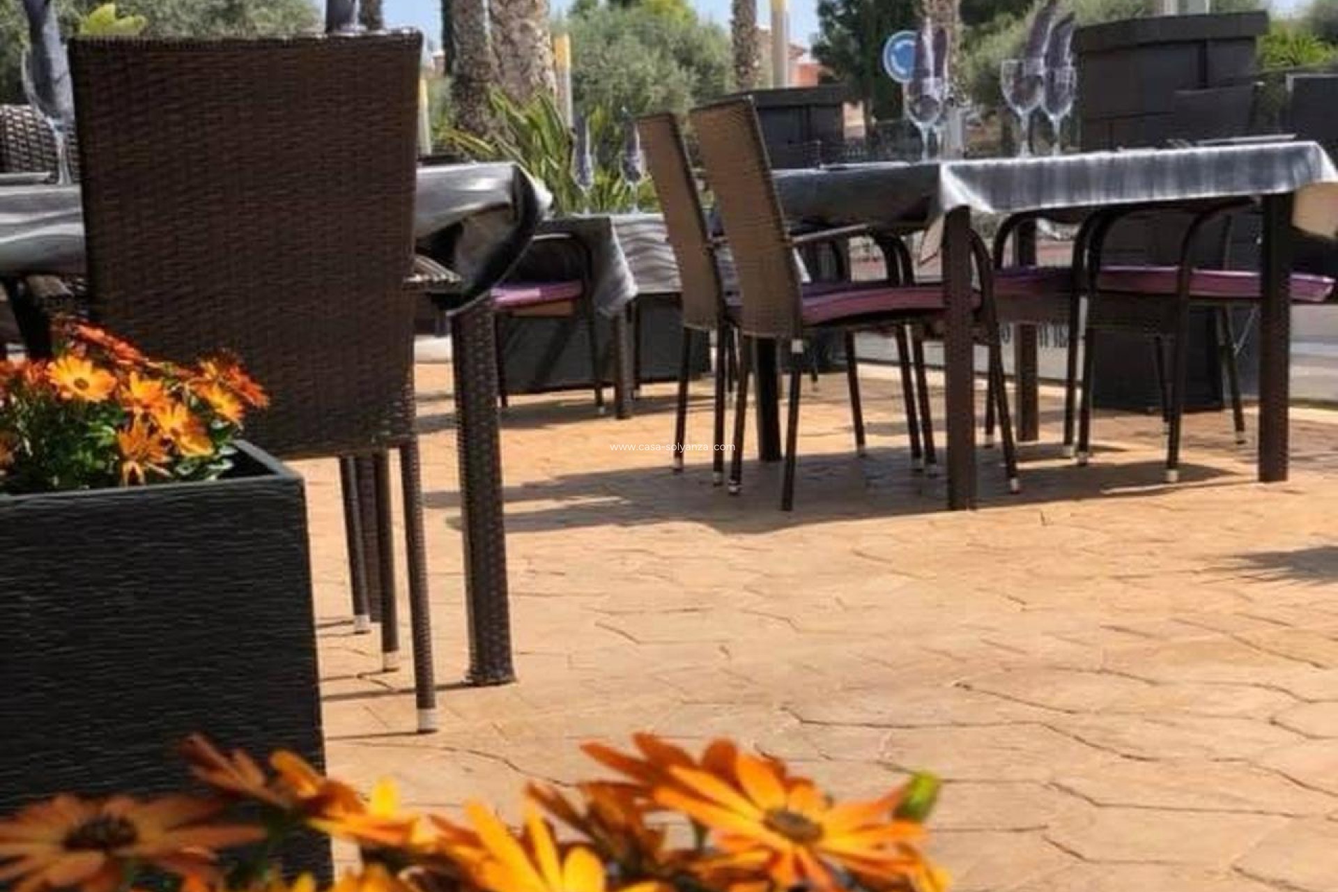 Resale - Commercial - Guardamar del Segura