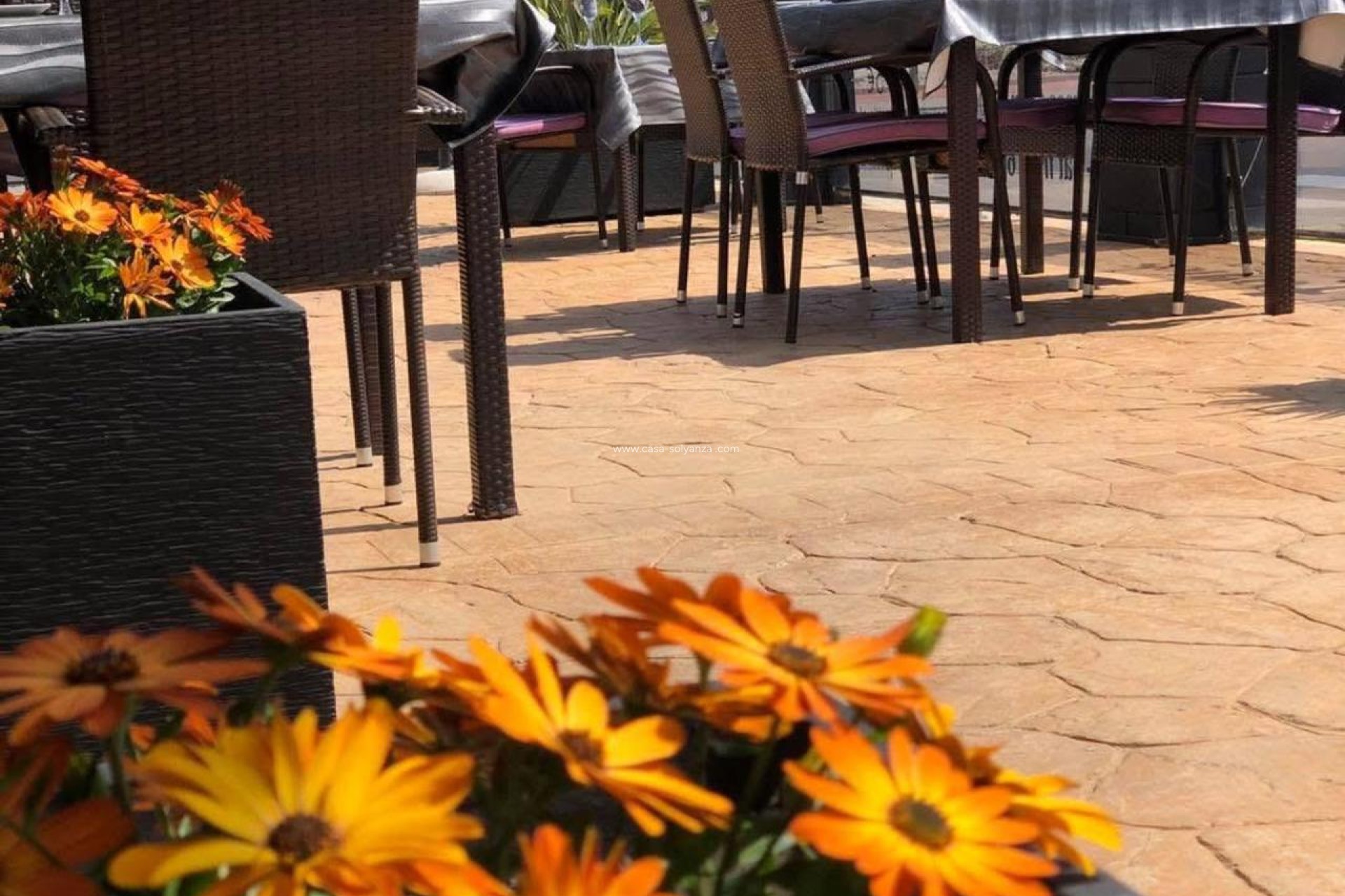 Resale - Commercial - Guardamar del Segura